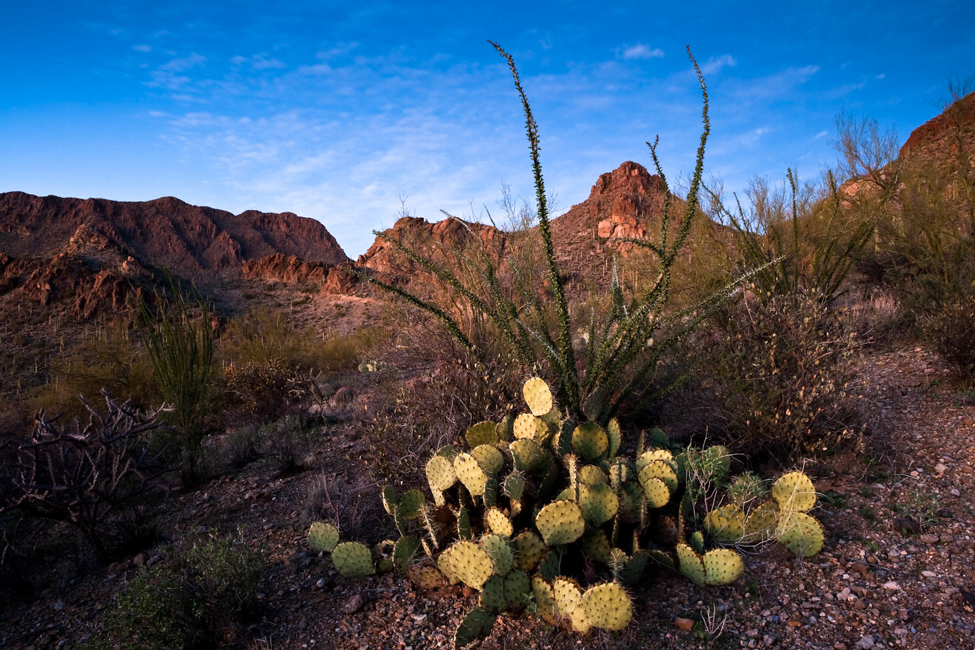 Tucson Mountain Park at the Gate Pass at sunset, Arizona, USA