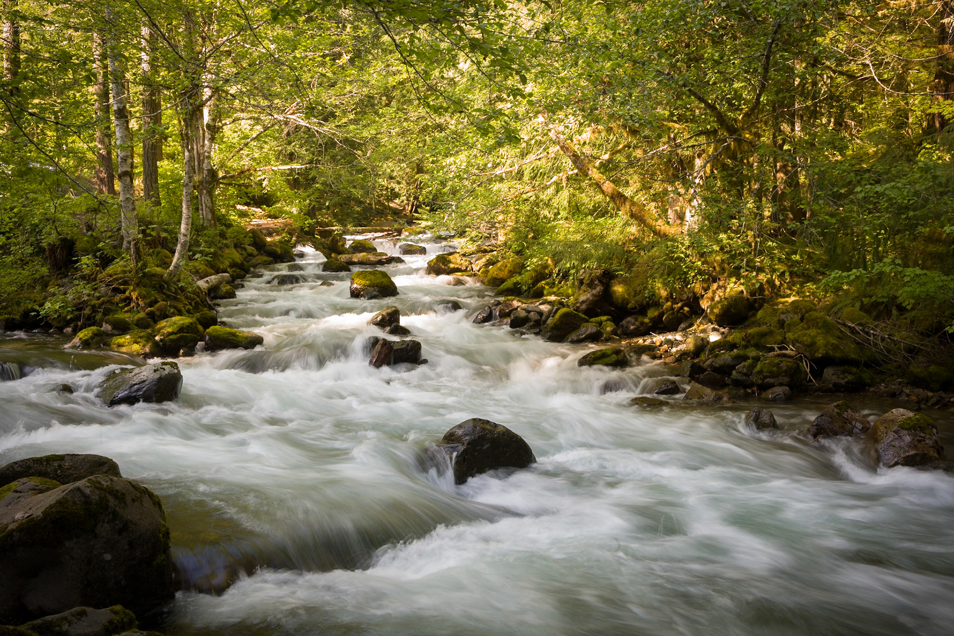 Skate Creek at N-52 near Mount Rainier Nat'l Park, OR, USA