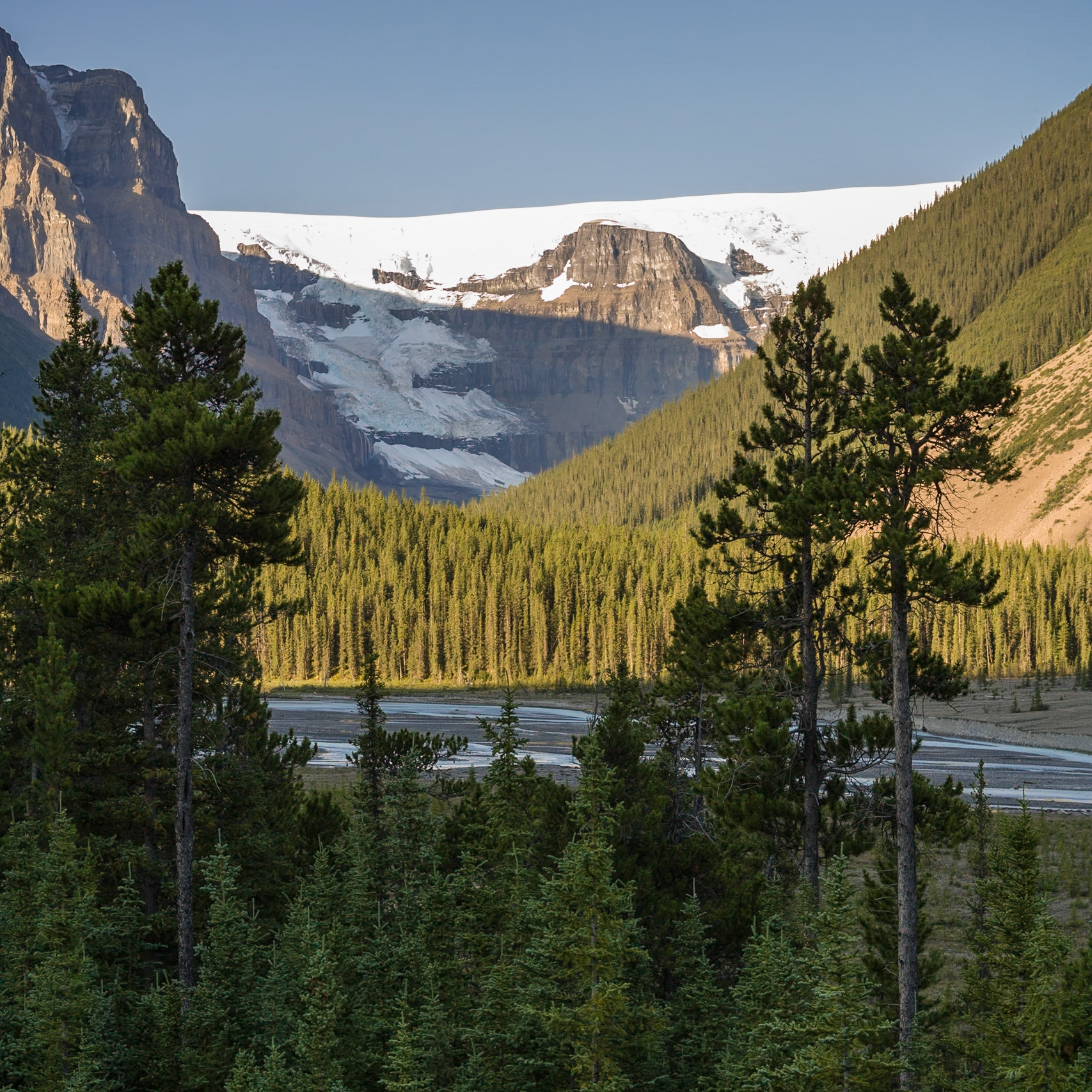 Stutfield Glacier, Columbia Icefield, Jasper NP, Alberta, CA