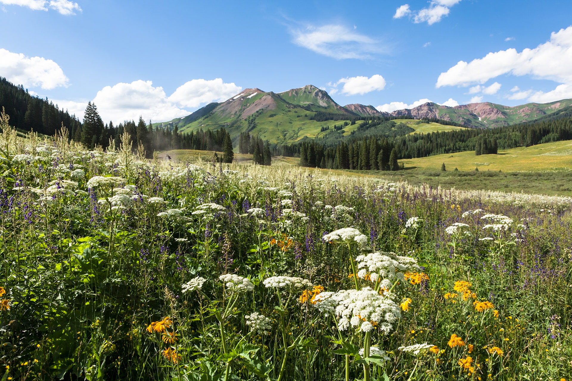 County Road 317 North of Crested Butte, CO, USA