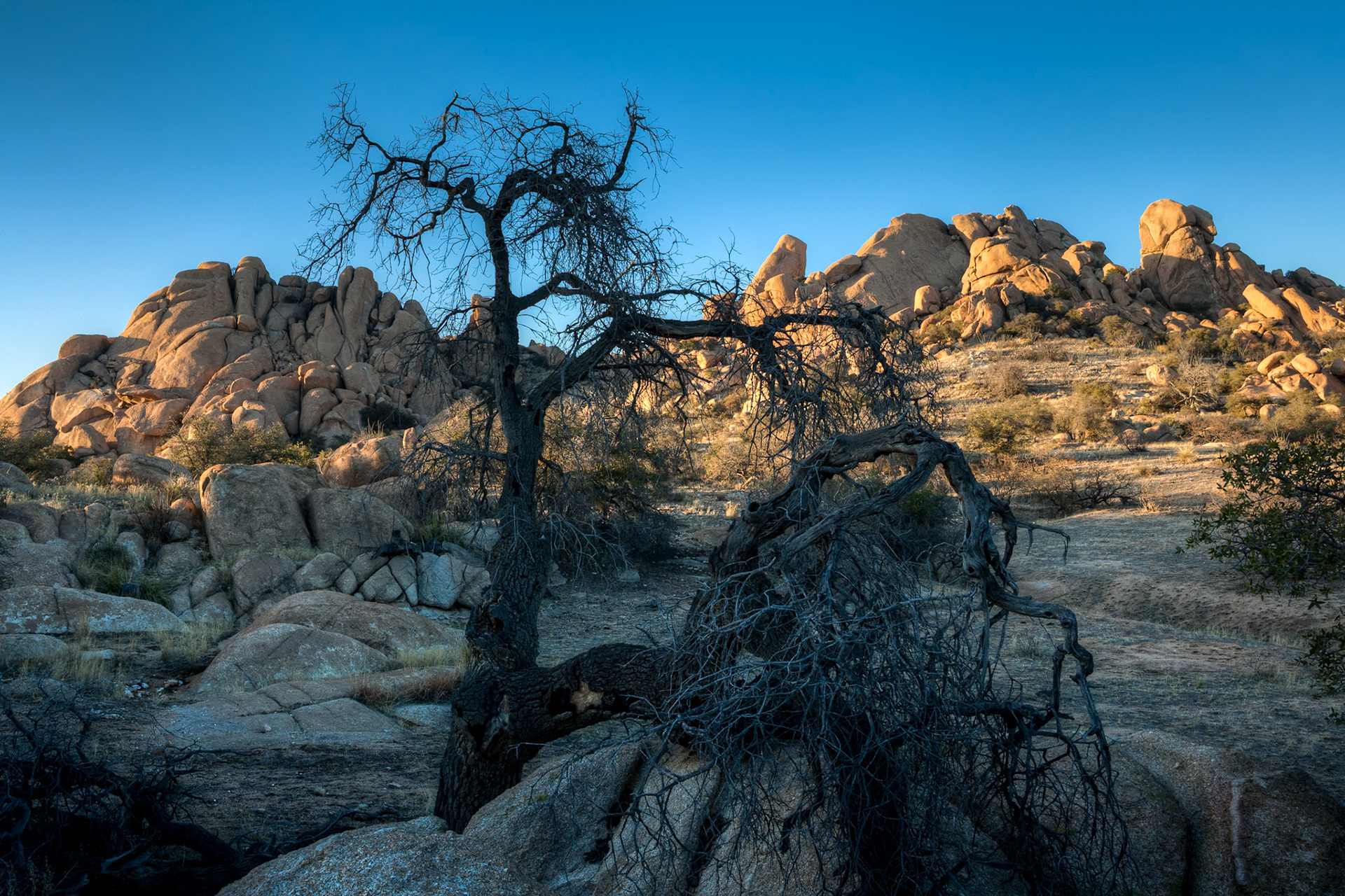 Texas Canyon, near Benson, at sunset, Arizona, USA
