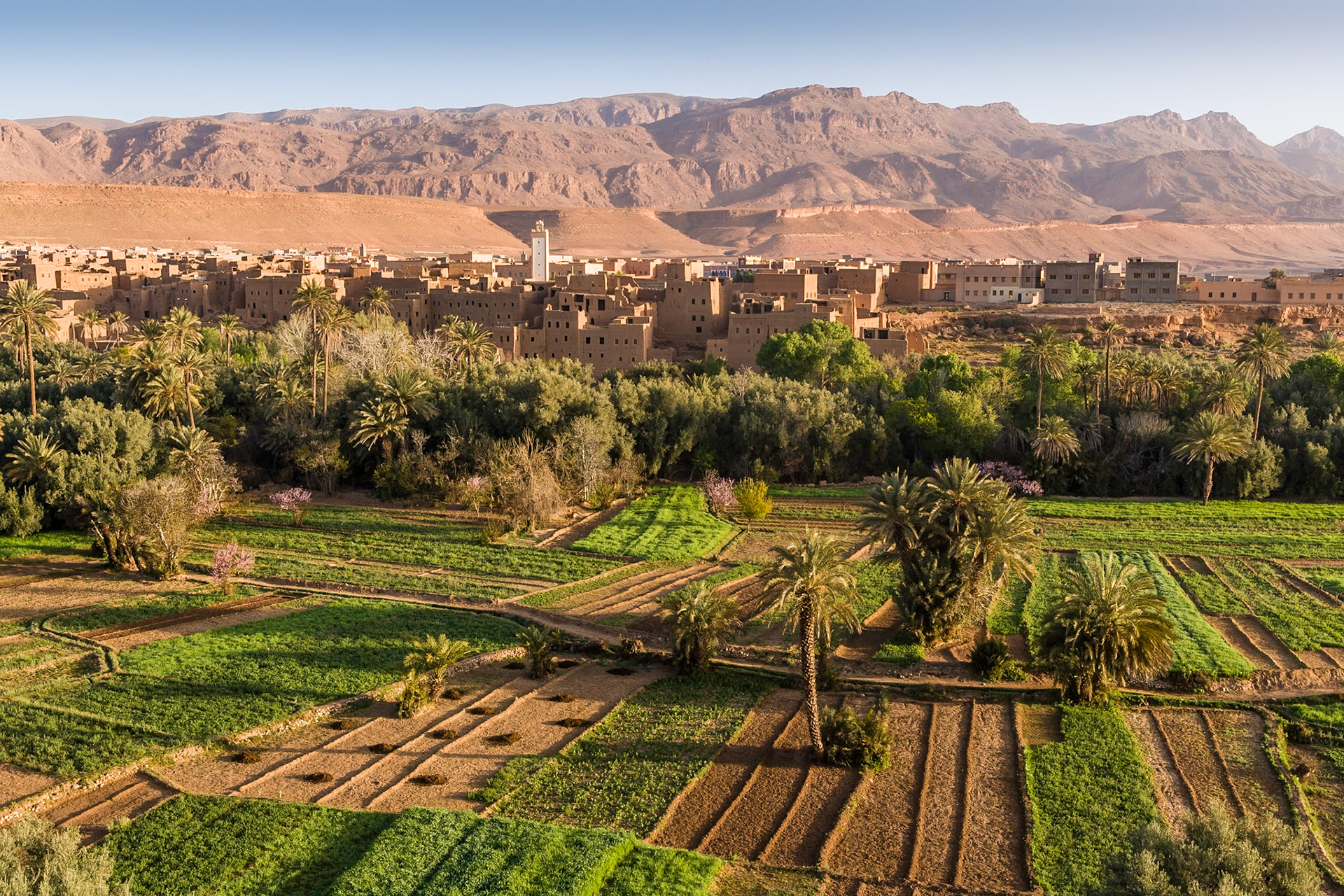 Kasbah near Tinerhir at the road to the Gorges du Dades, Morocco