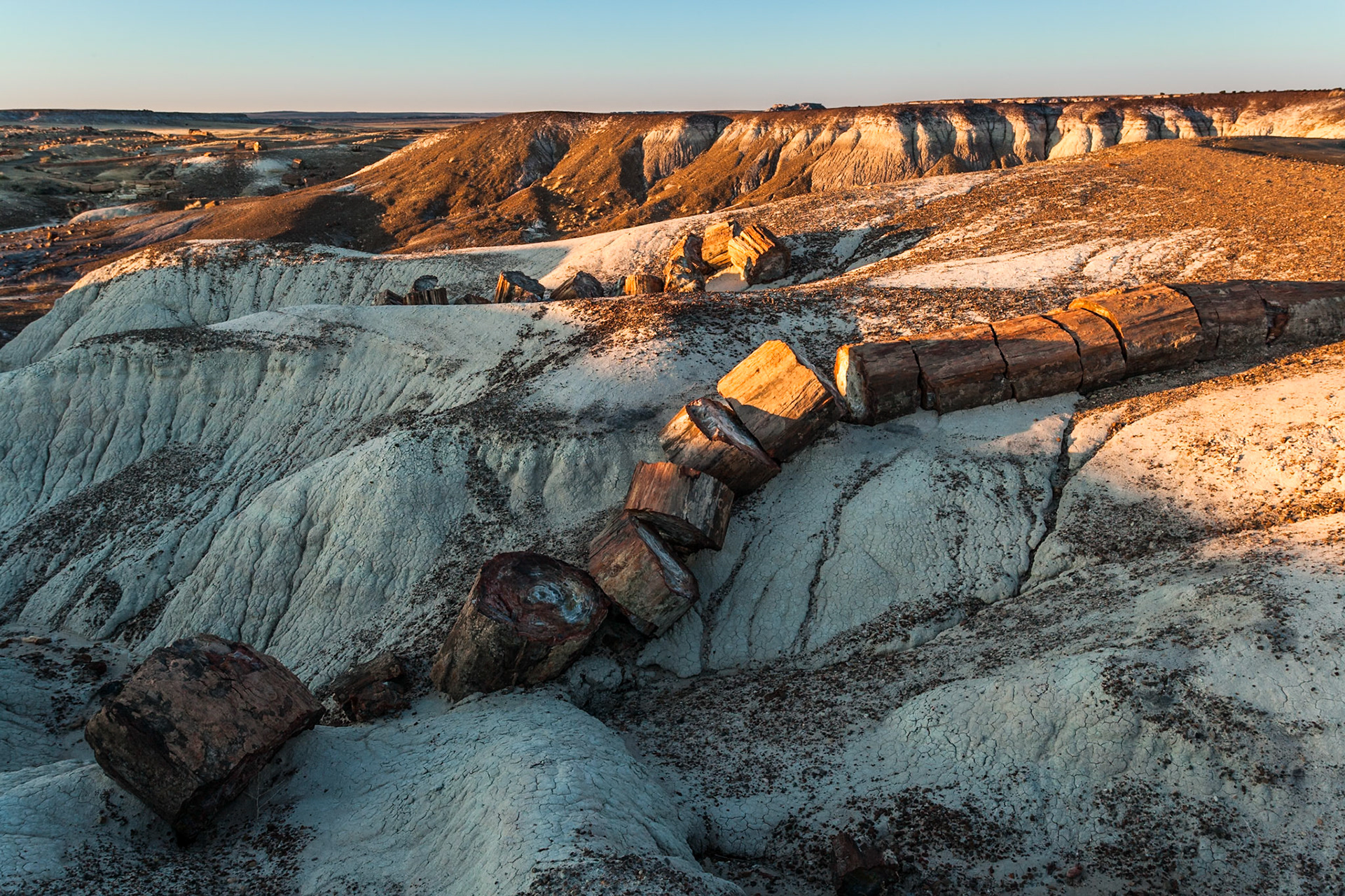 Sunset at Petrified Forest National Park, Crystal Forest, AZ, USA