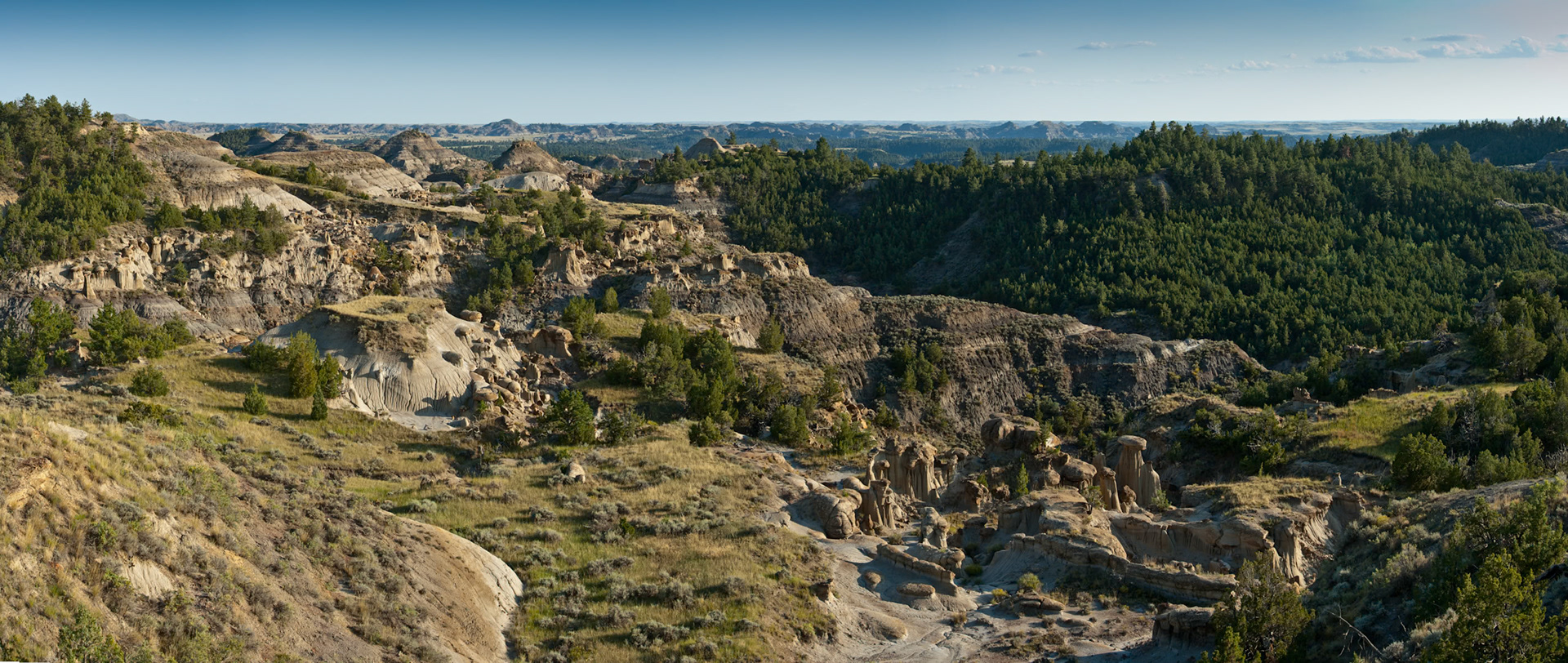 Erosion at Makoshika State Park, Montana, North America, USA
