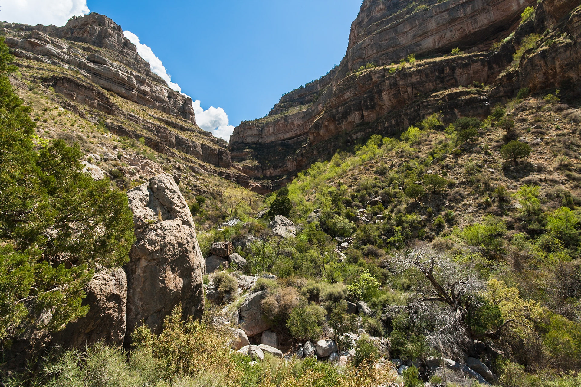 Dog Canyon at Oliver Lee Memorial State Park, New Mexico, USA
