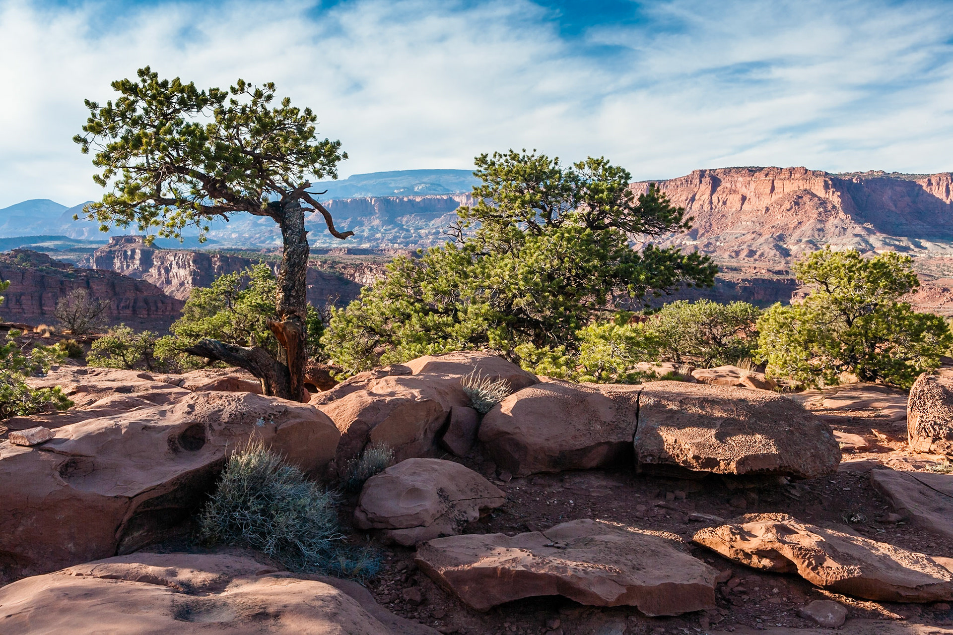Capitol Reef Nat'l Park, Utah at Goosenecks point, Utah, USA