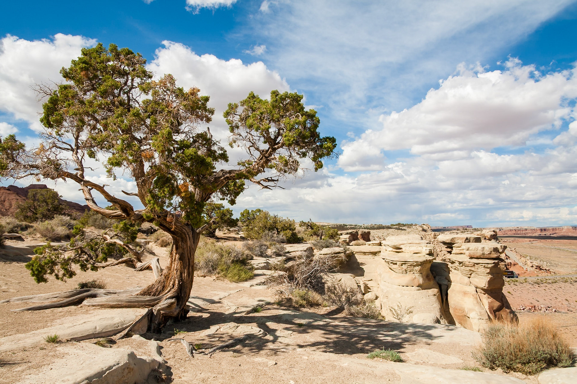 Salt Wash / Castle Valley at I70 near Green River, UT, USA