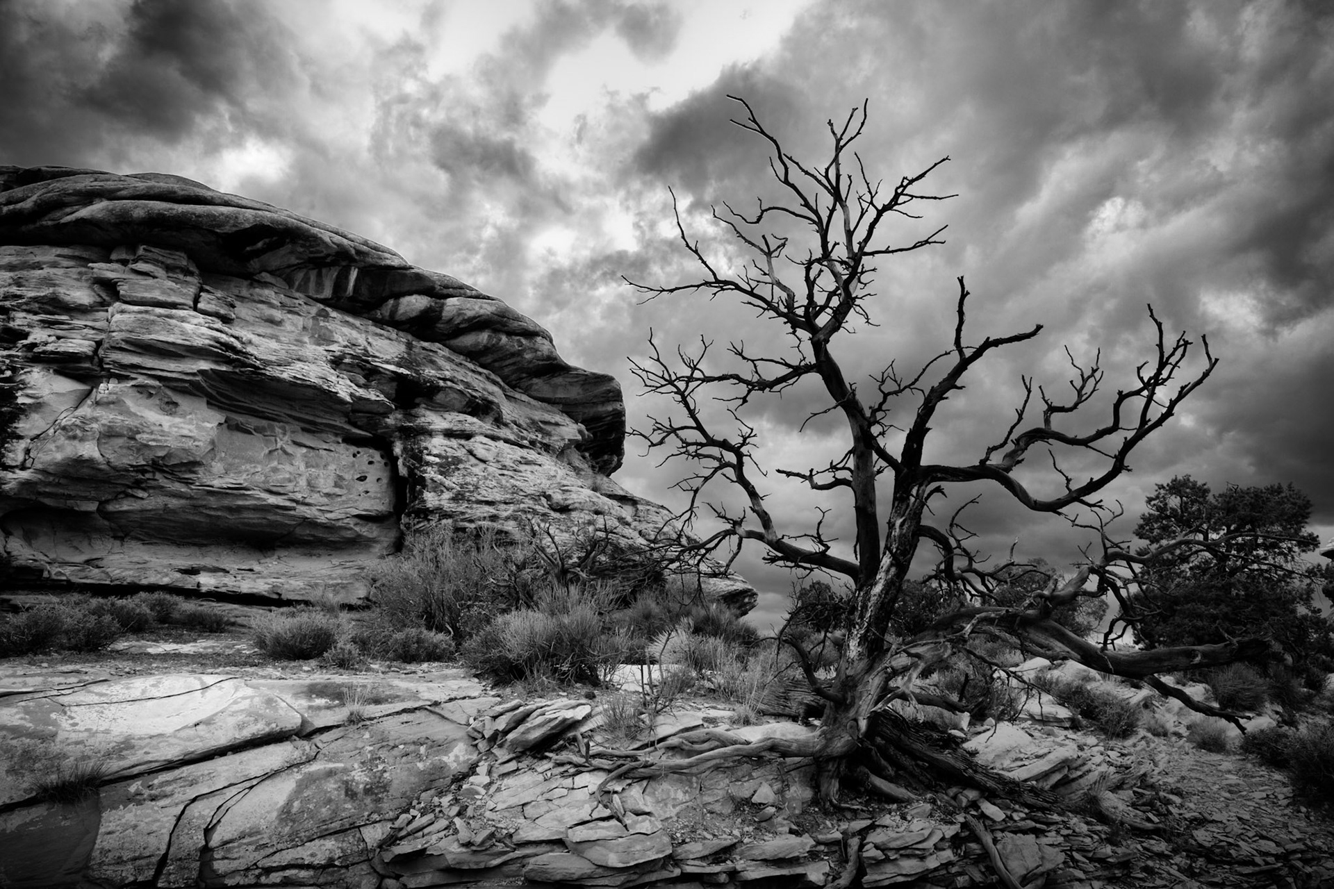 Big Spring Canyon in Canyonlands NP, Needles District, UT, USA, SIMILAR IMAGE(S) ALREADY SUBMITTED