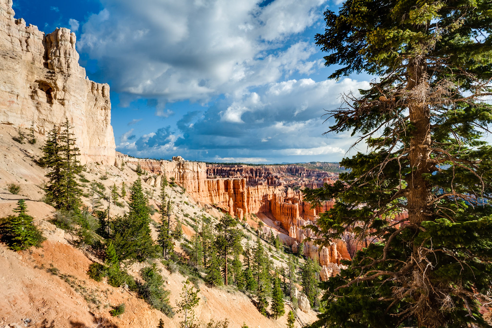 Bryce Canyon, Bryce Point,  UT, USA