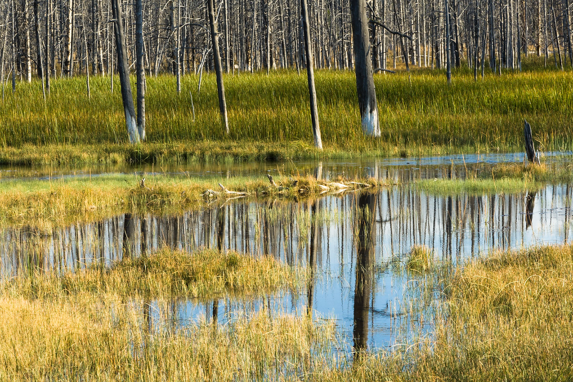 Lower Basin in Yellowstone, WY, USA
