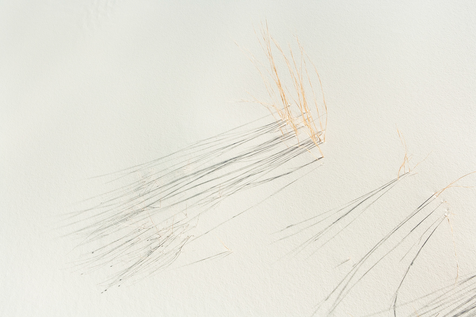 White Sand Dunes National Monument, New Mexico, USA