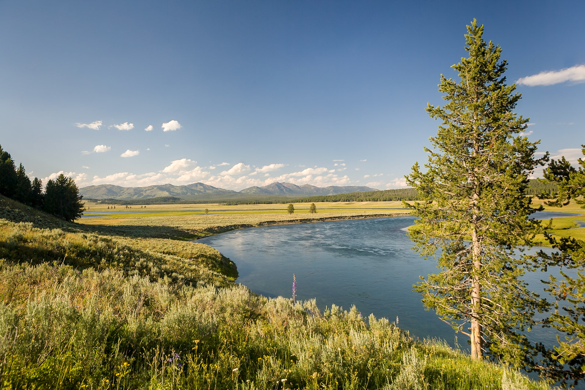 Yellowstone River at Hayden Valley at Yellowstone National Park, WY, USA
