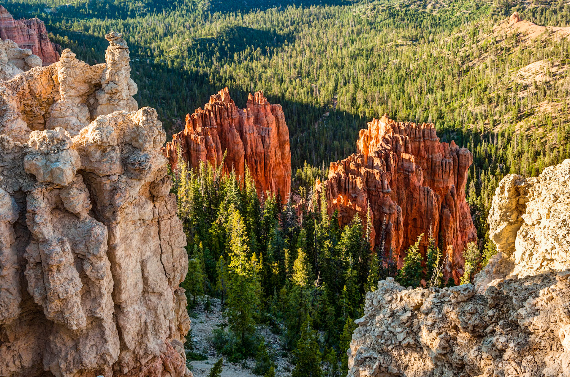 Bryce Canyon, Rainbow Point, UT, USA