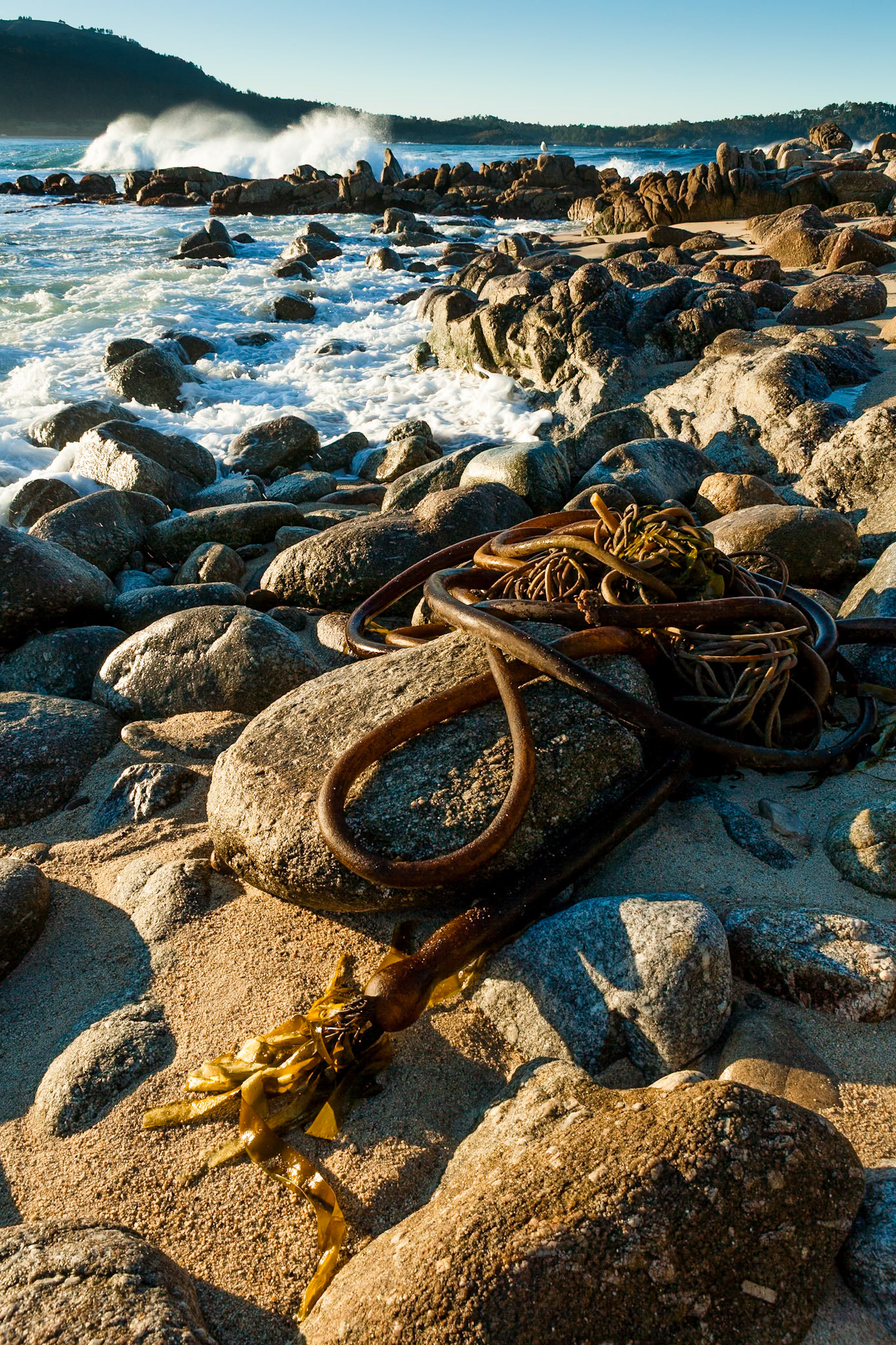 Sunrise at coast of Carmel, California, USA