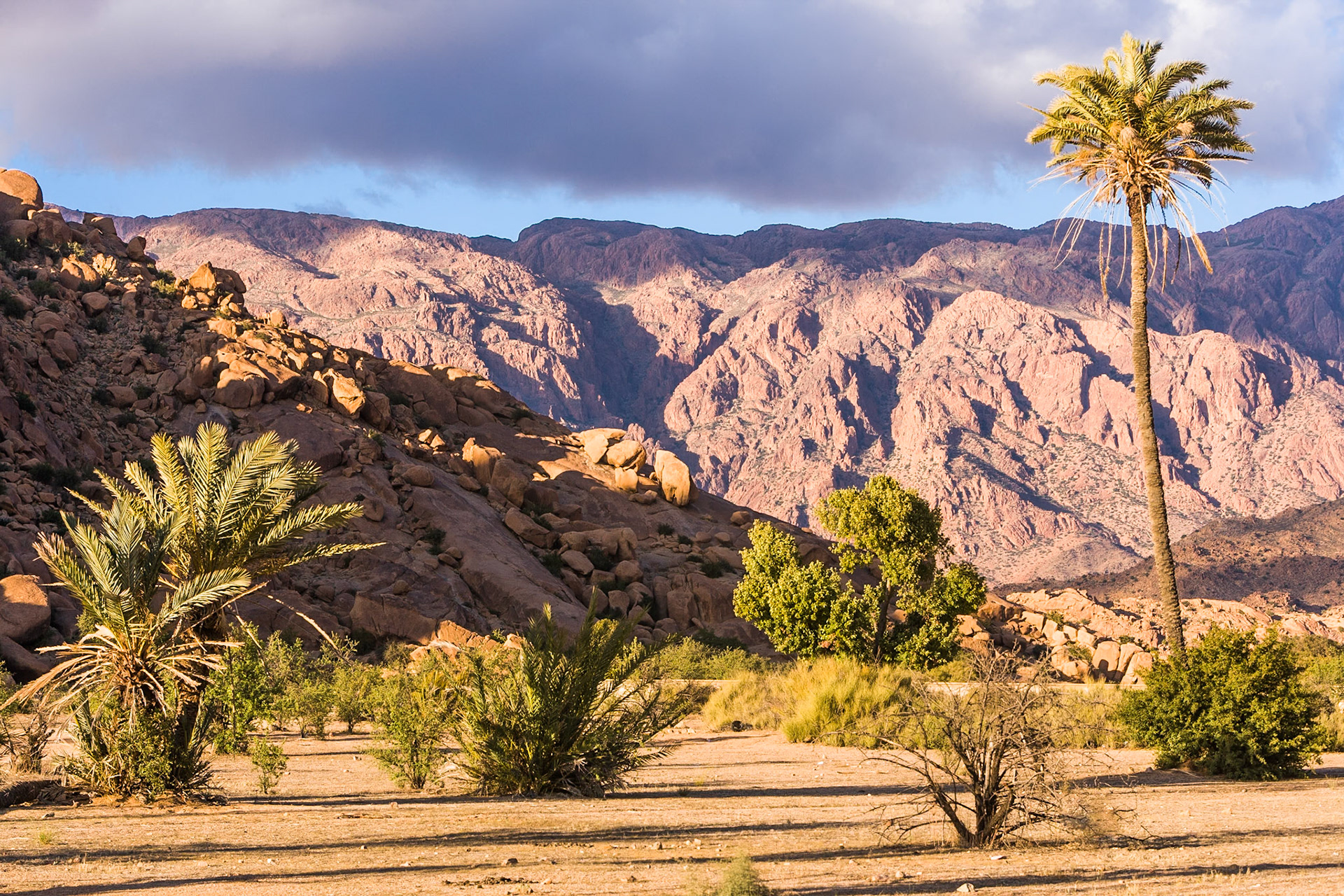 Sunset dramatizes the landscape near Tafraoute, Morocco
