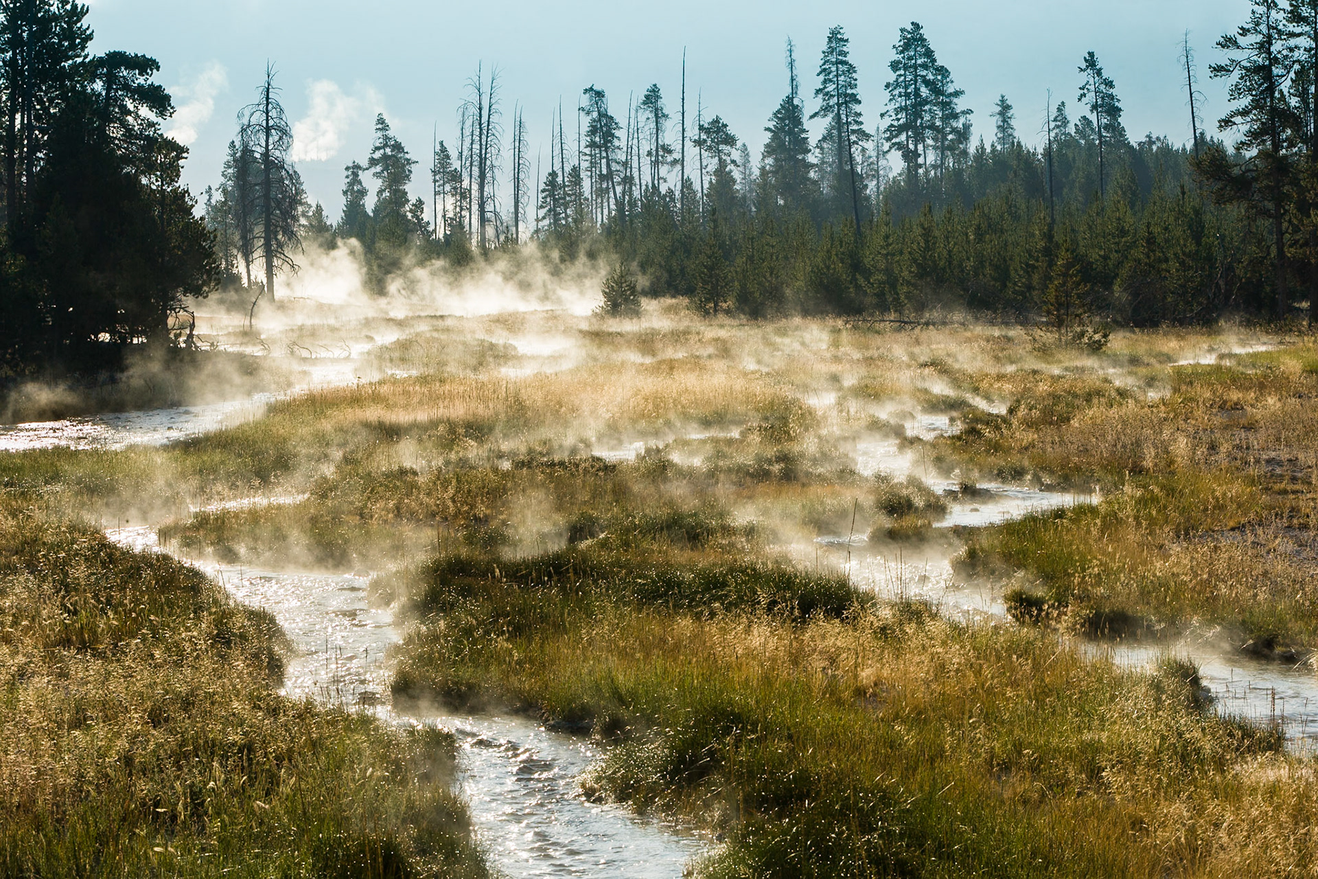 Steamy river Near Midway Geyser Basin  in Yellowstone National Park Wyoming, USA