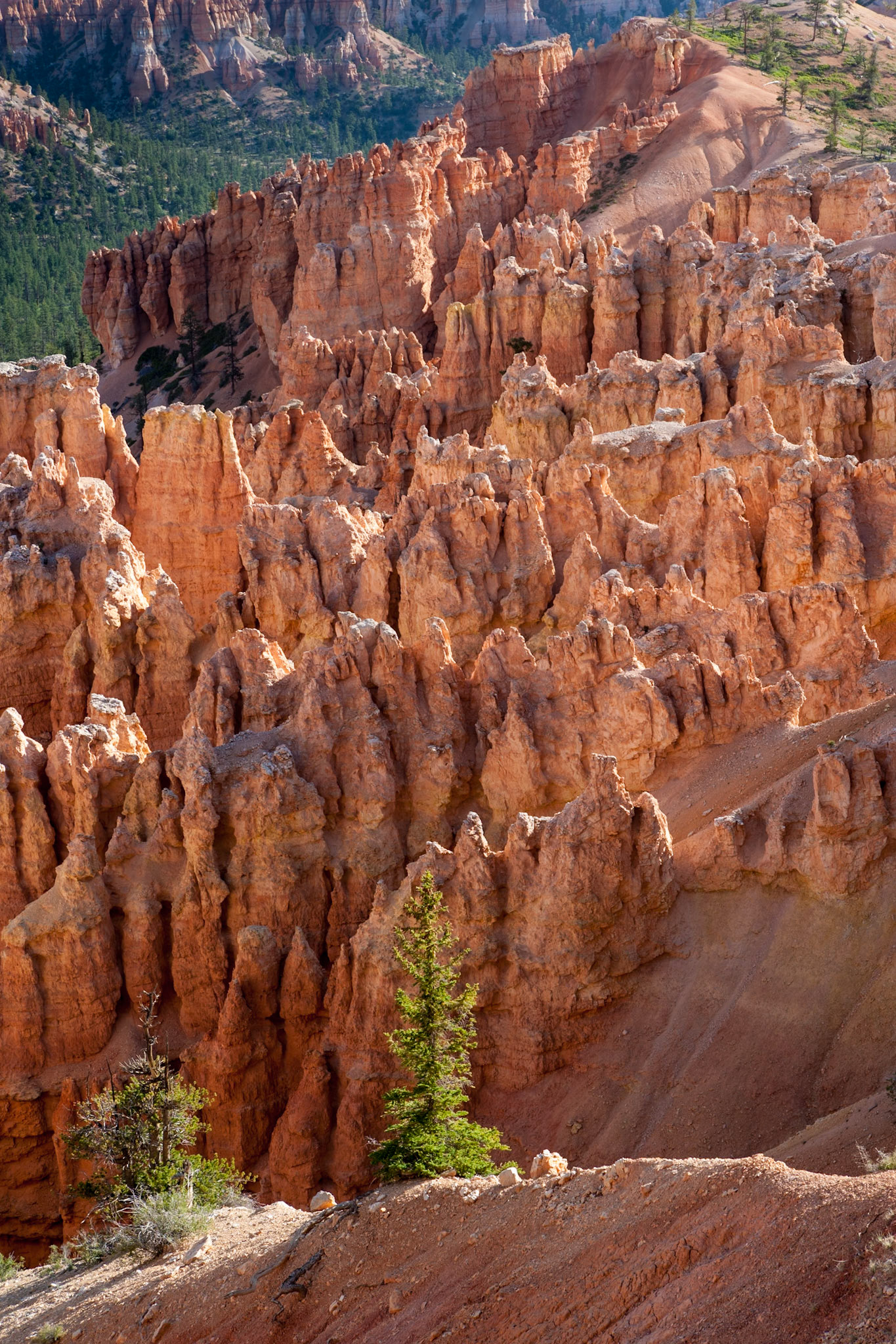 Bryce Canyon, Bryce Point,  UT, USA