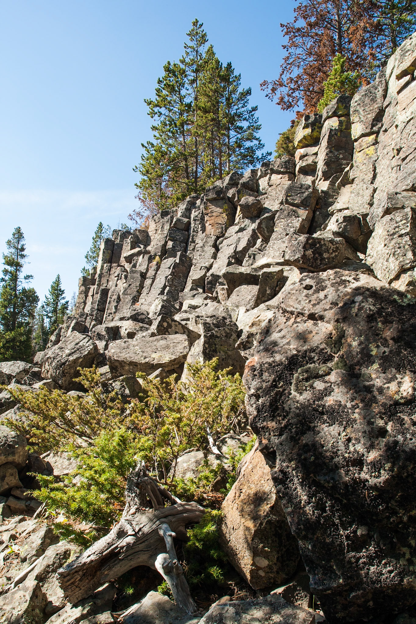 Sheepeater Cliff, Yellowstone Nat'l Park, WY, USA