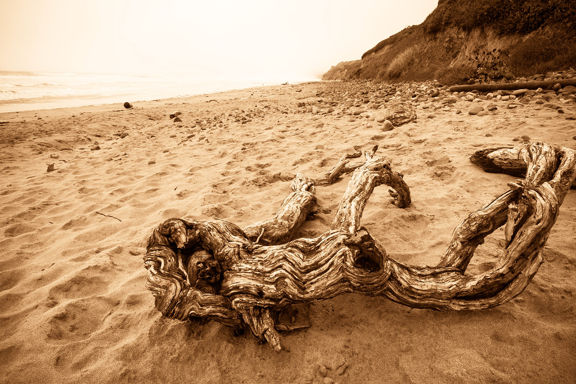 Oregon Coast Hwy 101, south of Beverly Beach