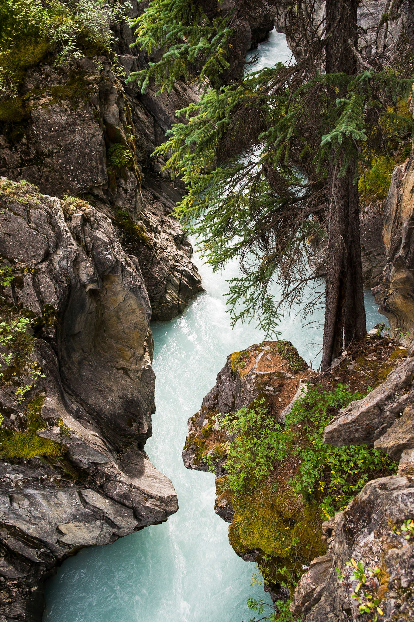 small river at Icefields Parkway at Banf National Park, Alberta, CA