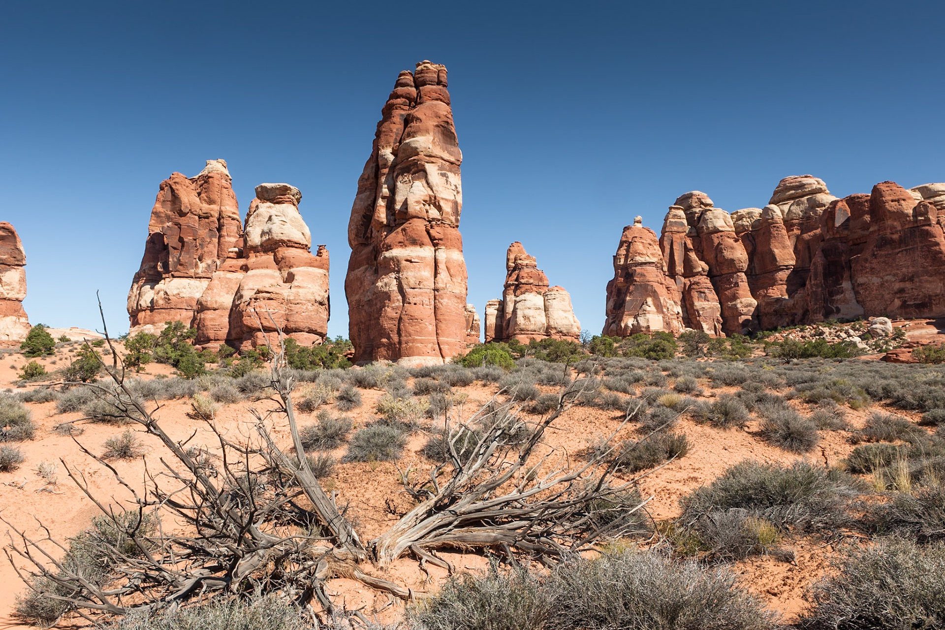 Chesler Park at Squaw Flat Loop Trail, Canyon Lands NP, UT