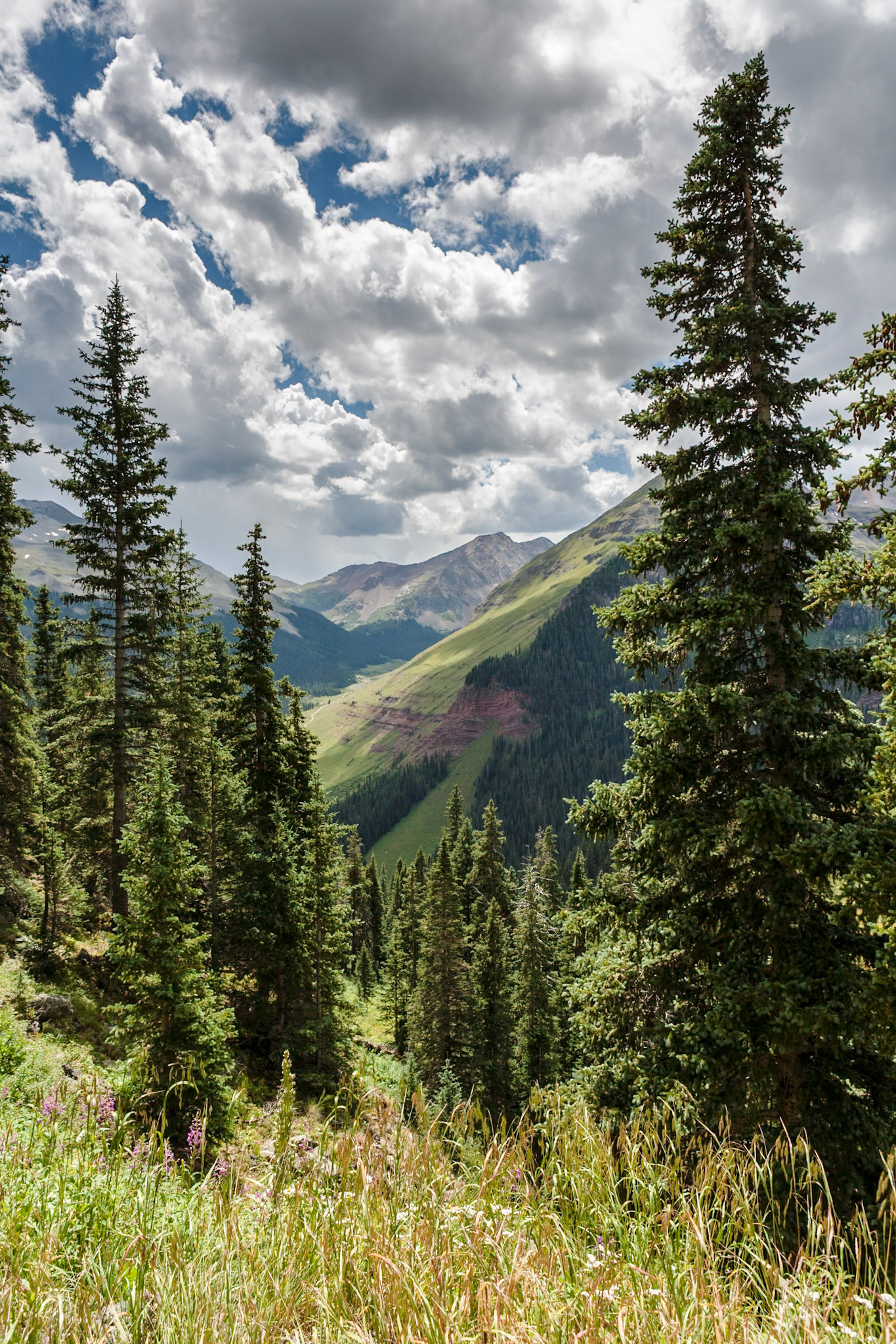 County Road 12, San Juan Nat'l Forest, CO, USA