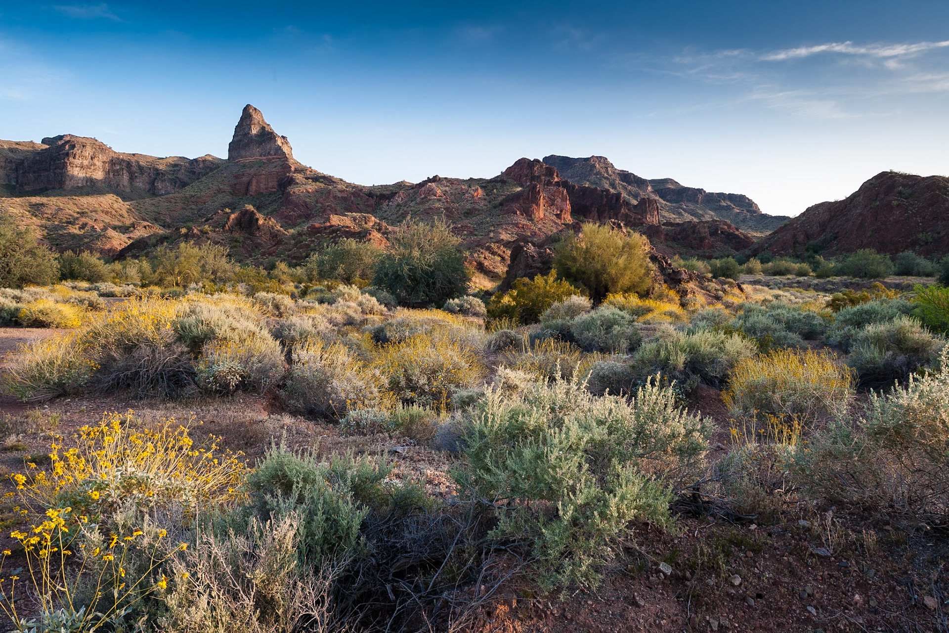 Buckskin Mountain SP, Arizona, USA