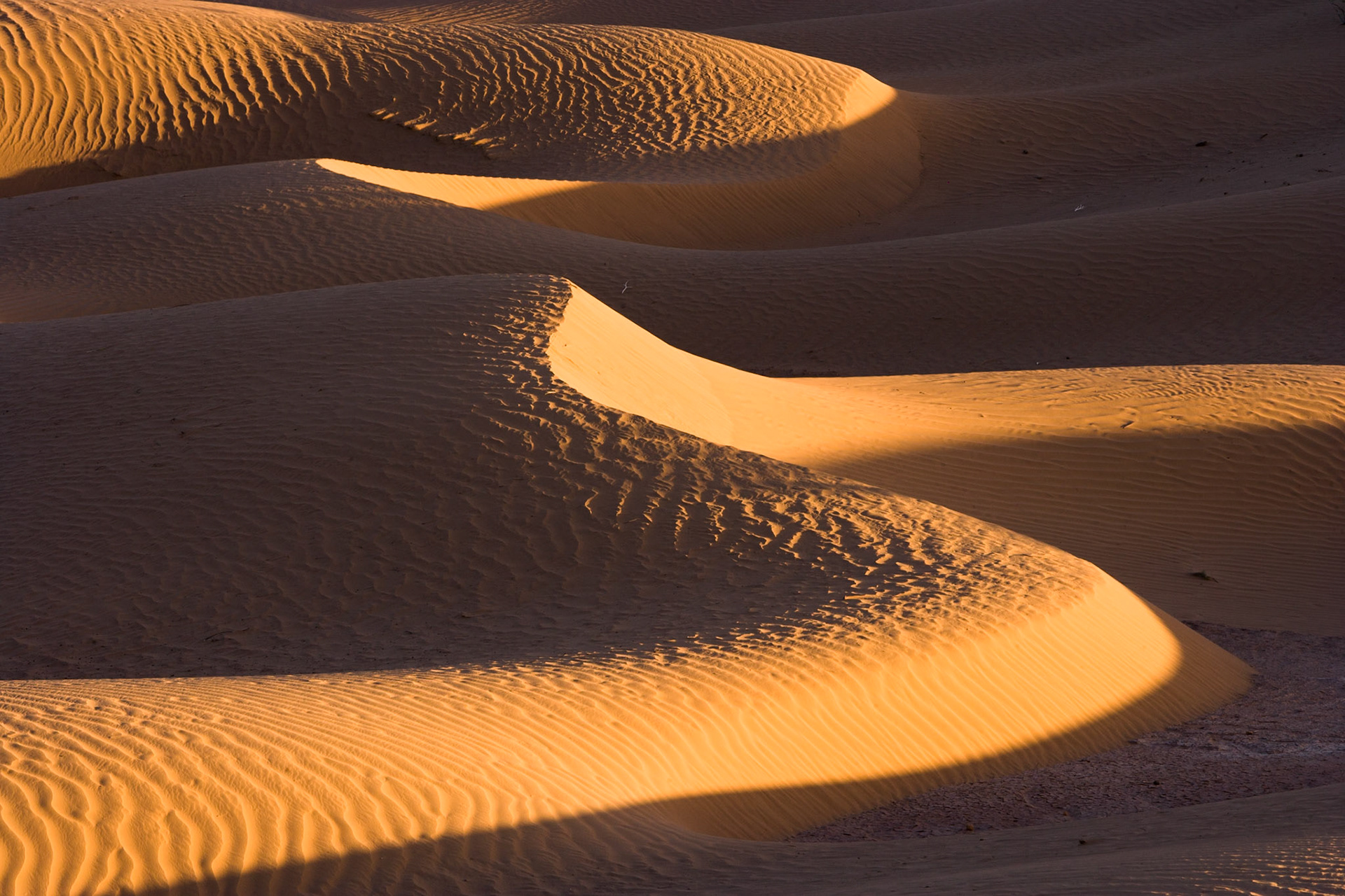 Sunrise at the dunes (Sahara) at Mhamid, Morocco