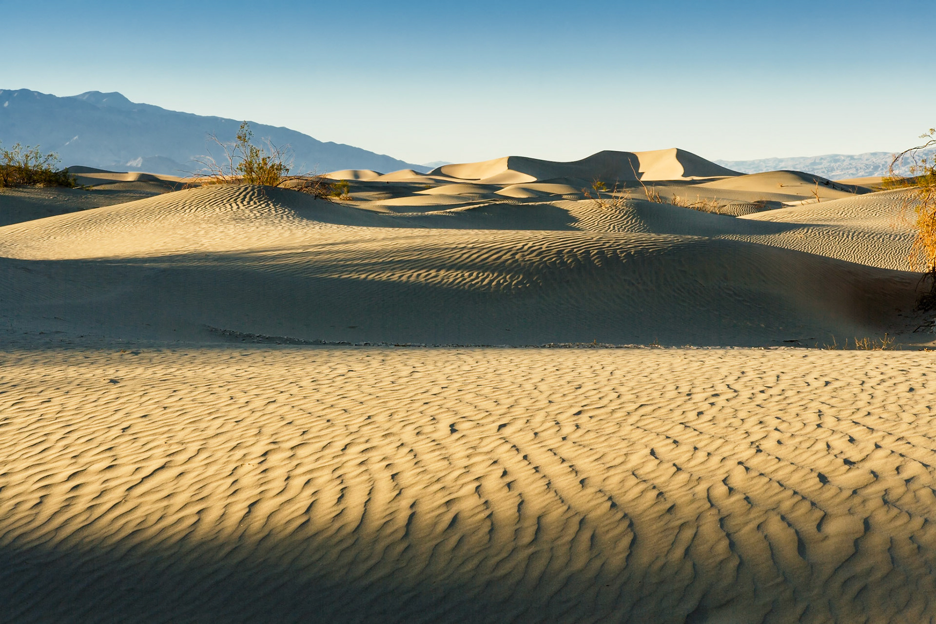 Sunset at Mesquite Flat Sand Dunes, Death Valley, California, USA