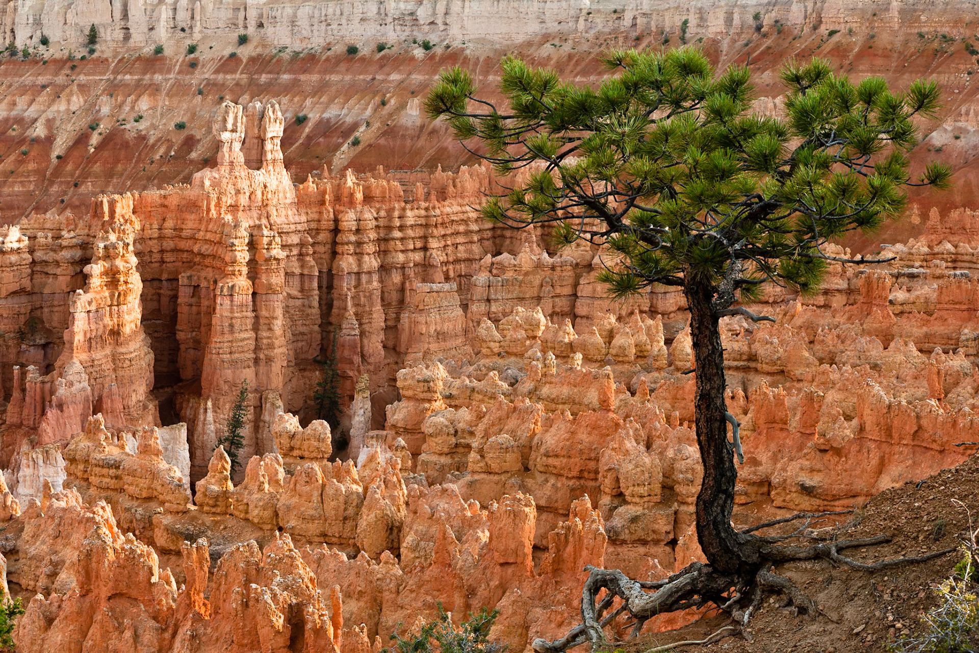 Bryce Canyon Sunset Point, UT, USA