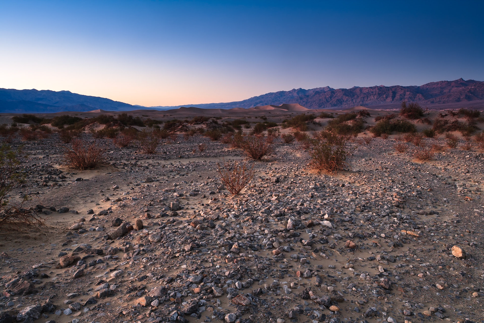 After sunset at the mesquite flat Sand Dunes, Death Valley, California, USA