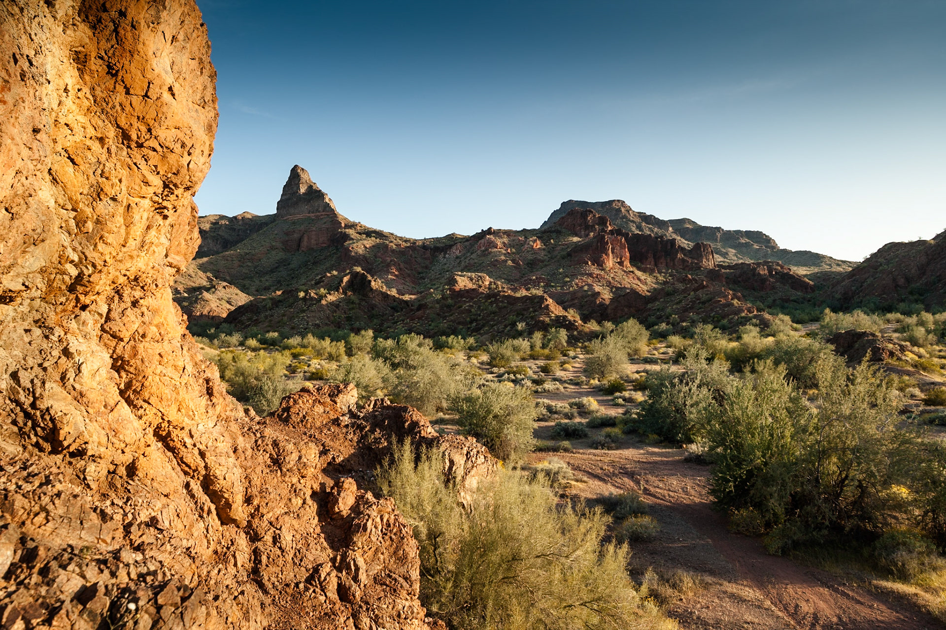 Buckskin Mountain SP, Arizona, USA