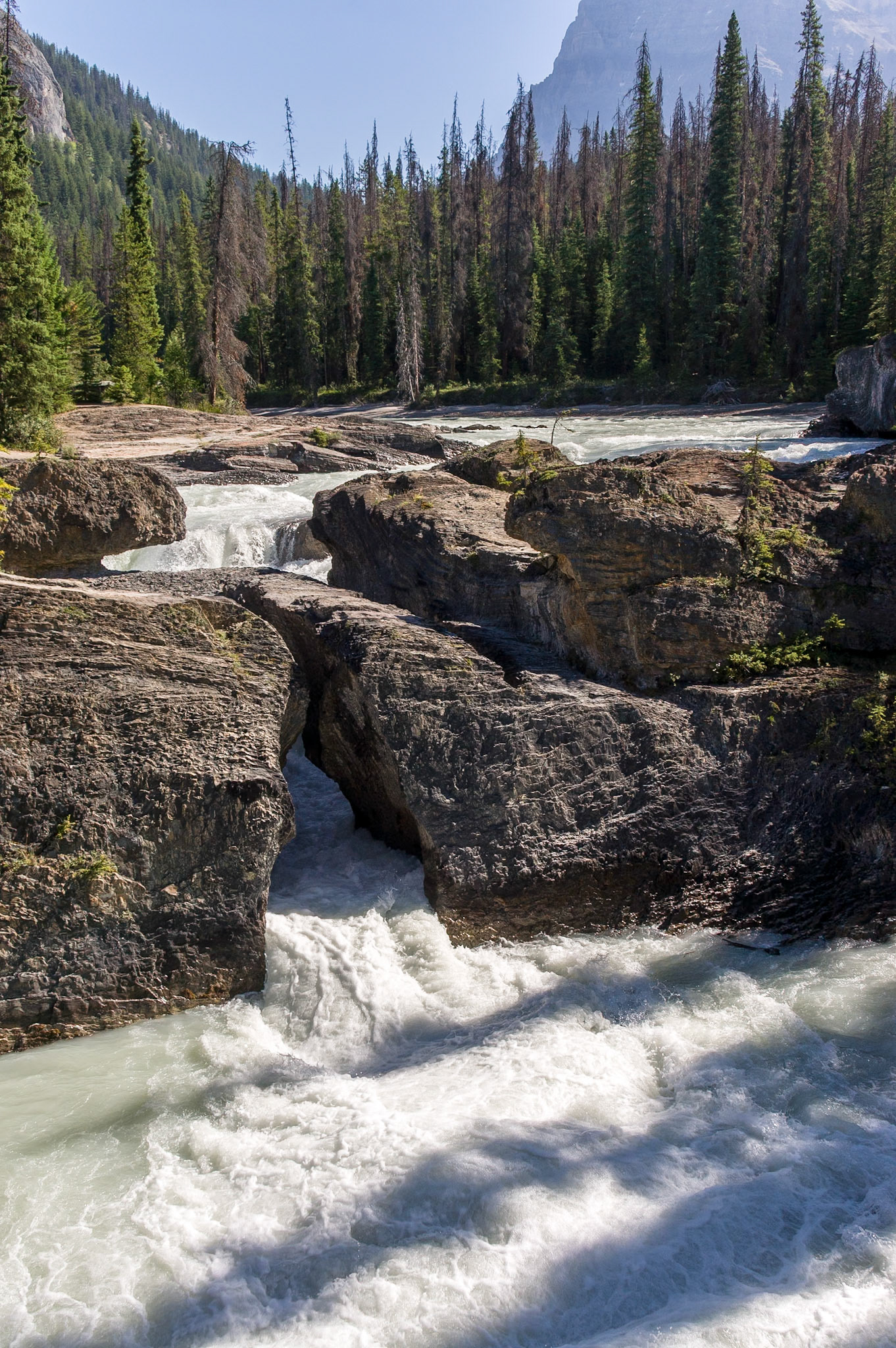 Natural Bridge at the Amiskwi River, Yoho National Park, BC, CA