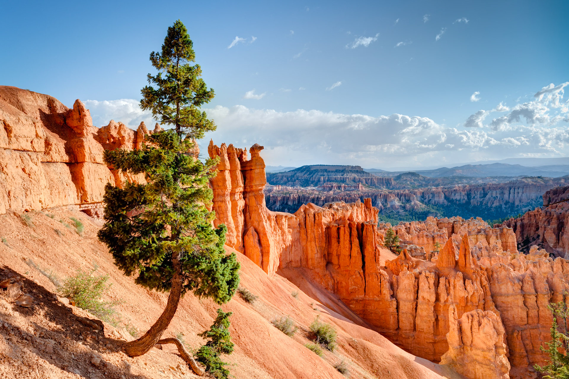 Bryce Canyon, Bryce Point,  UT, USA