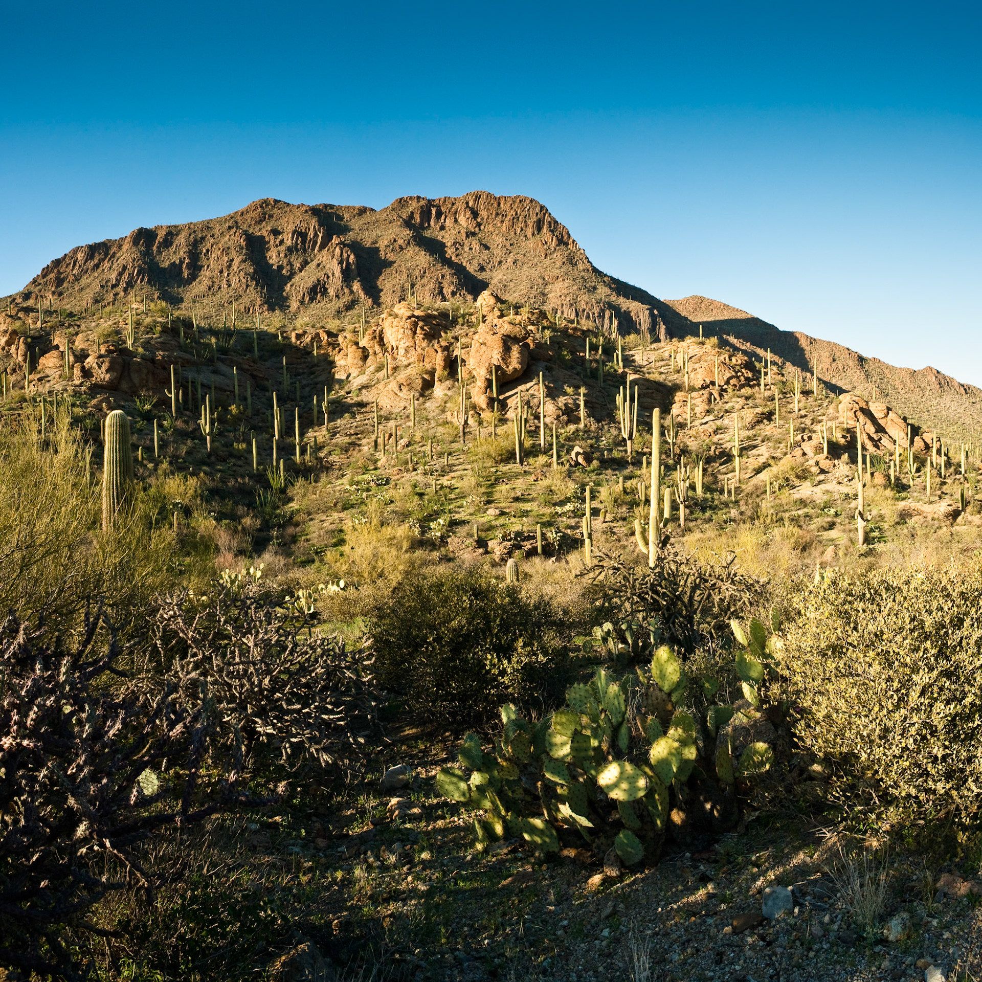 Gate Pass at Tucson Mountain Park, Arizona, USA