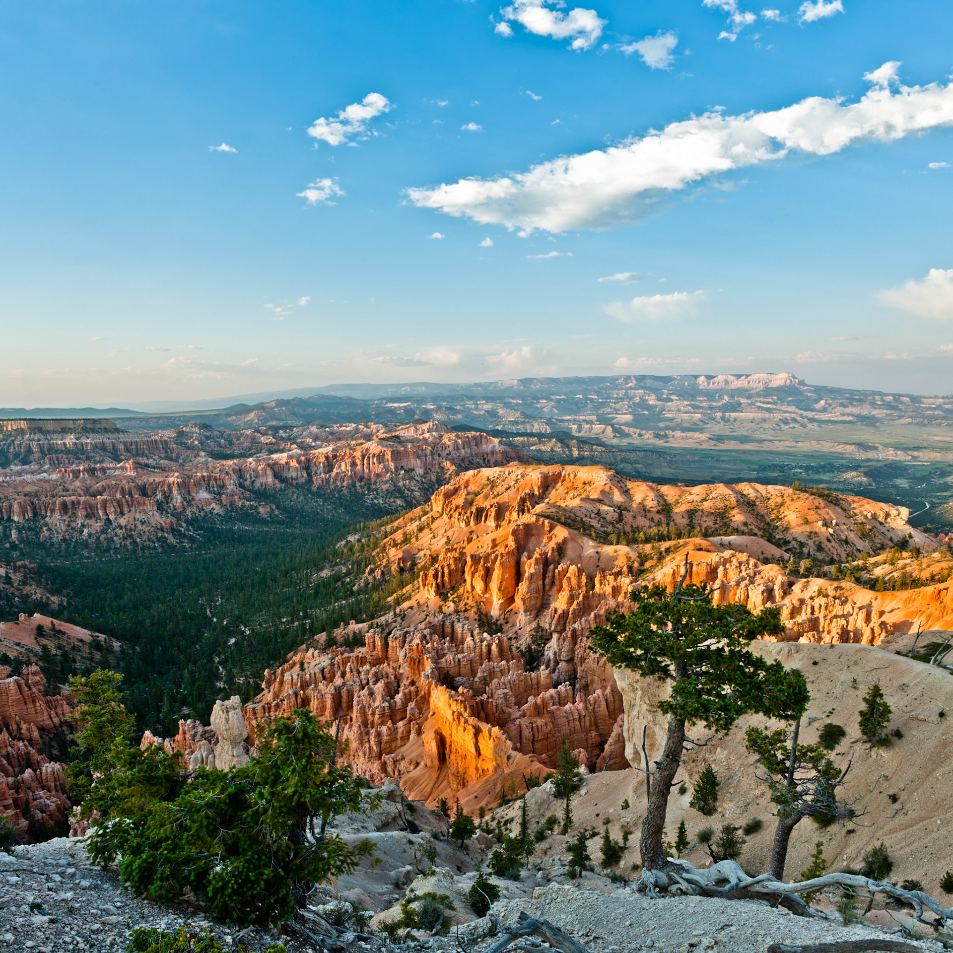 Bryce Canyon, Bryce Point,  UT, USA