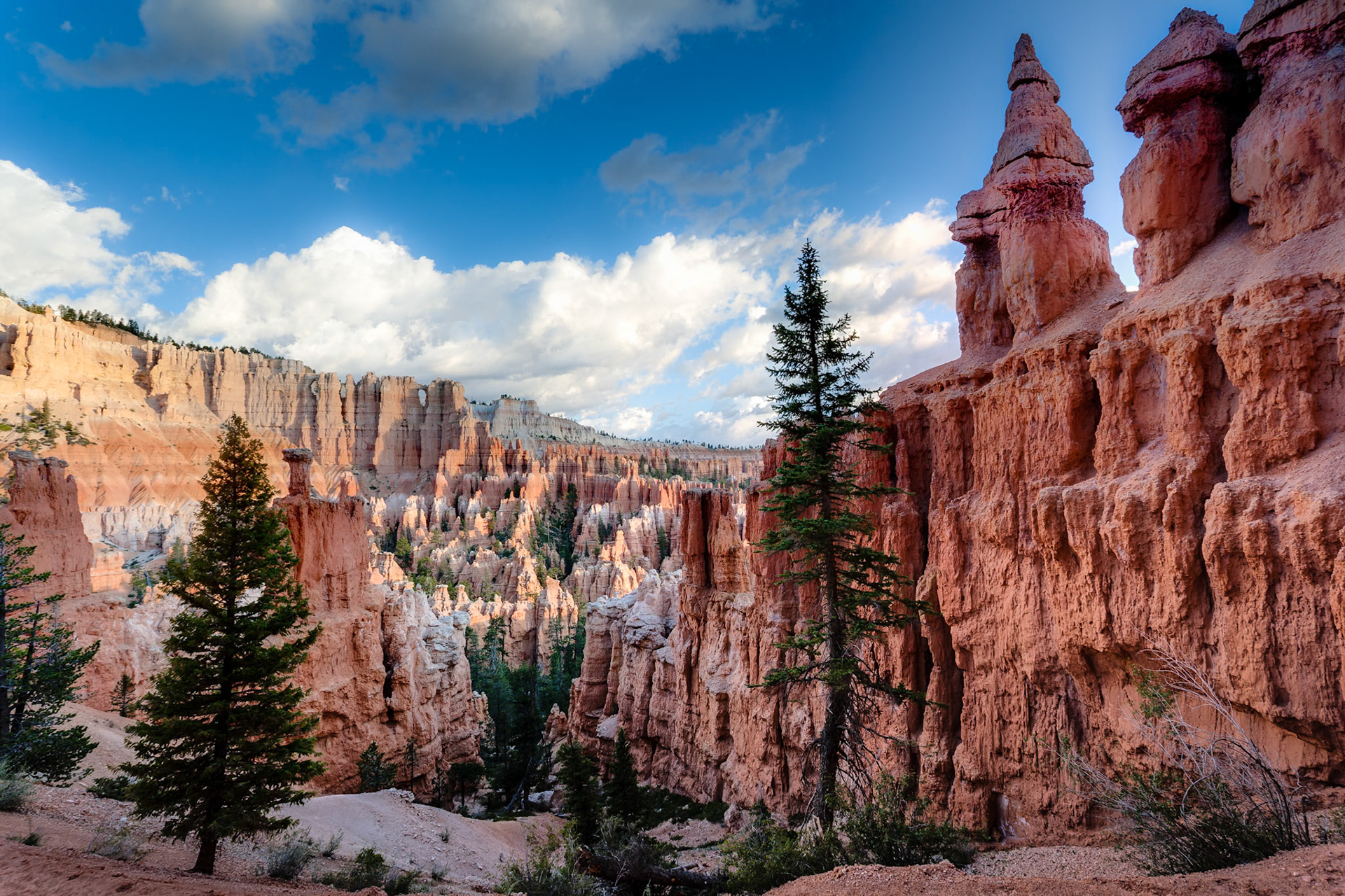 Bryce Canyon, Bryce Point,  UT, USA