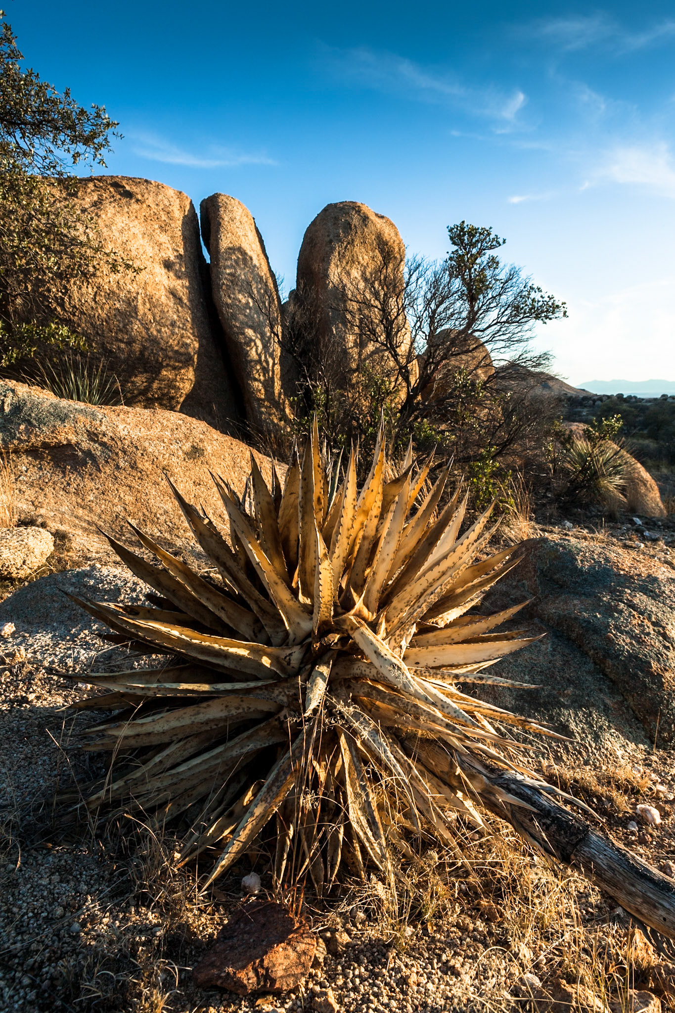 Texas Canyon, near Benson, at sunset, Arizona, USA