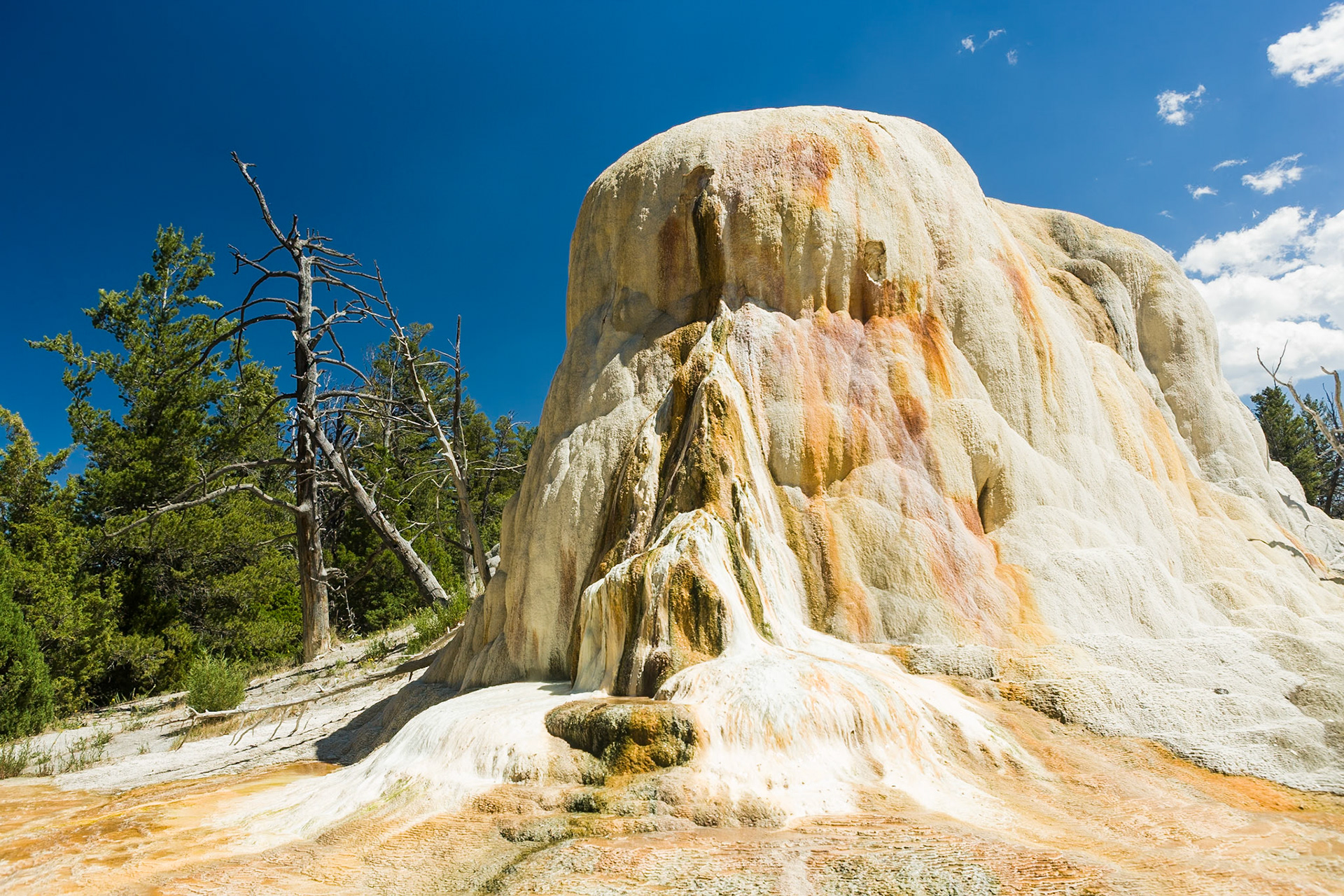 Orange Spring Mound at Mammoth Hot Springs  in Yellowstone National Park Wyoming, USA