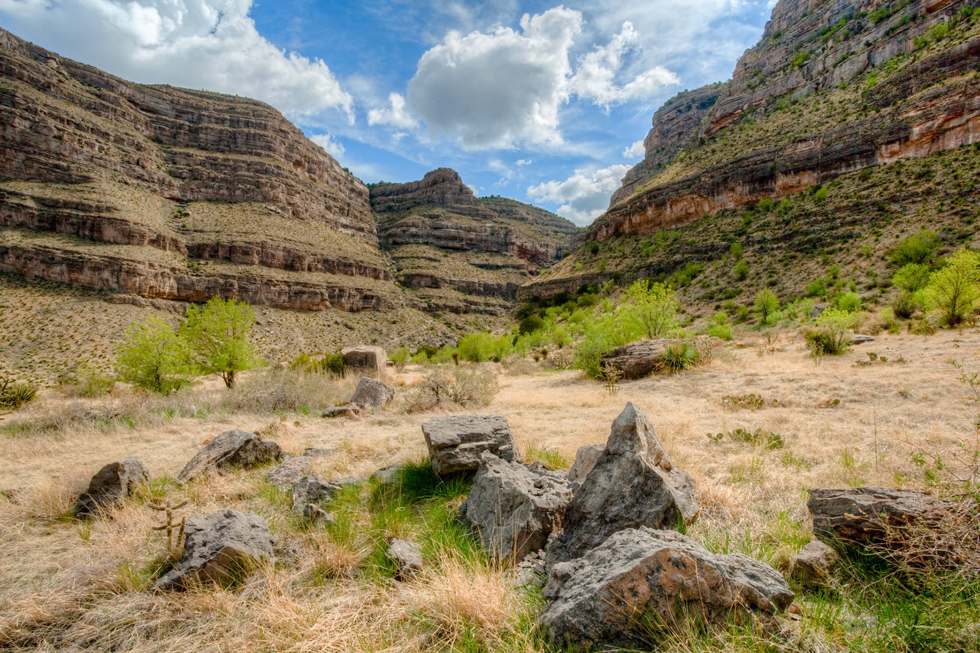 Dog Canyon at Oliver Lee Memorial State Park, New Mexico, USA