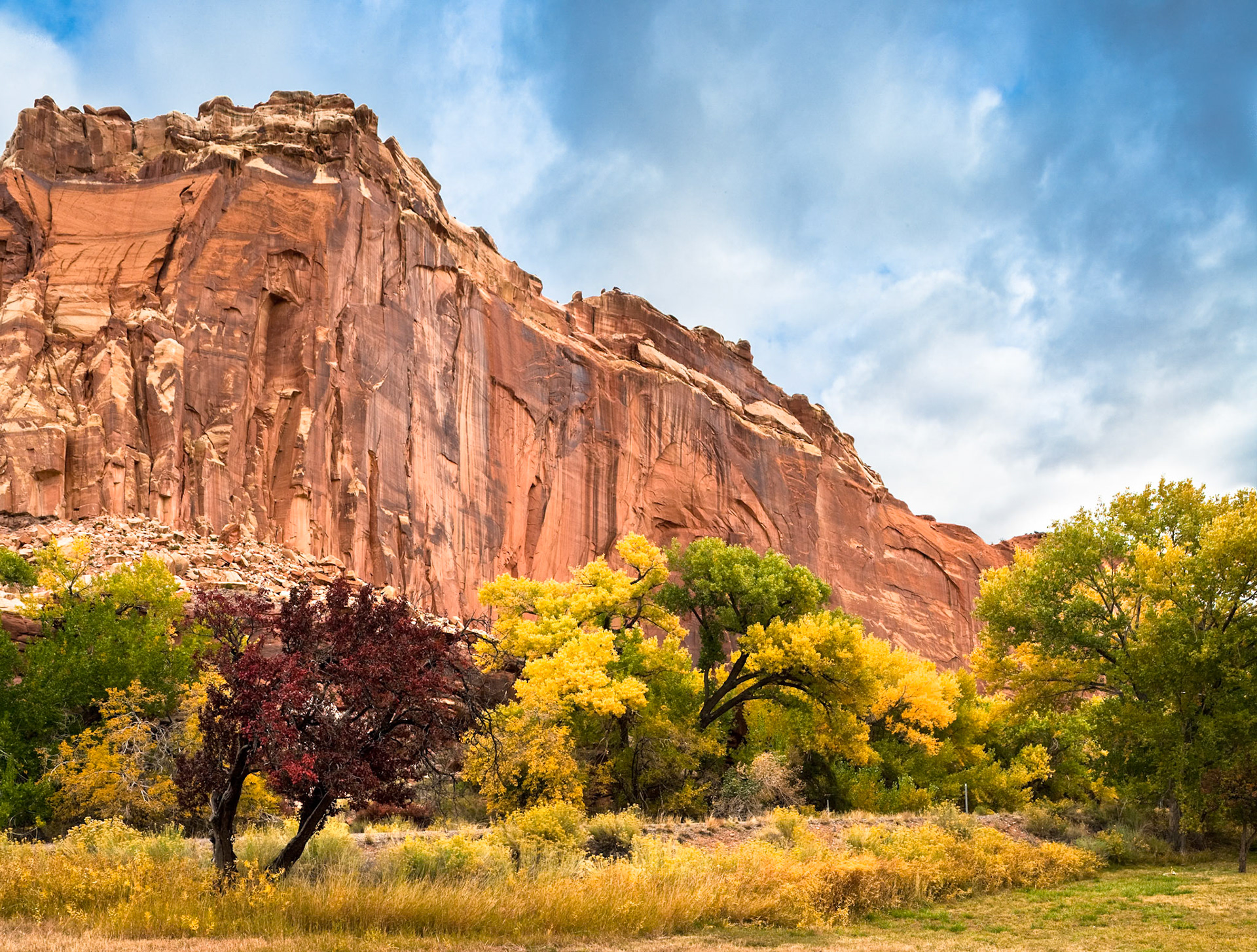 Autumn (Fall) in Capitol Reef Nat'l Park, Utah, USA