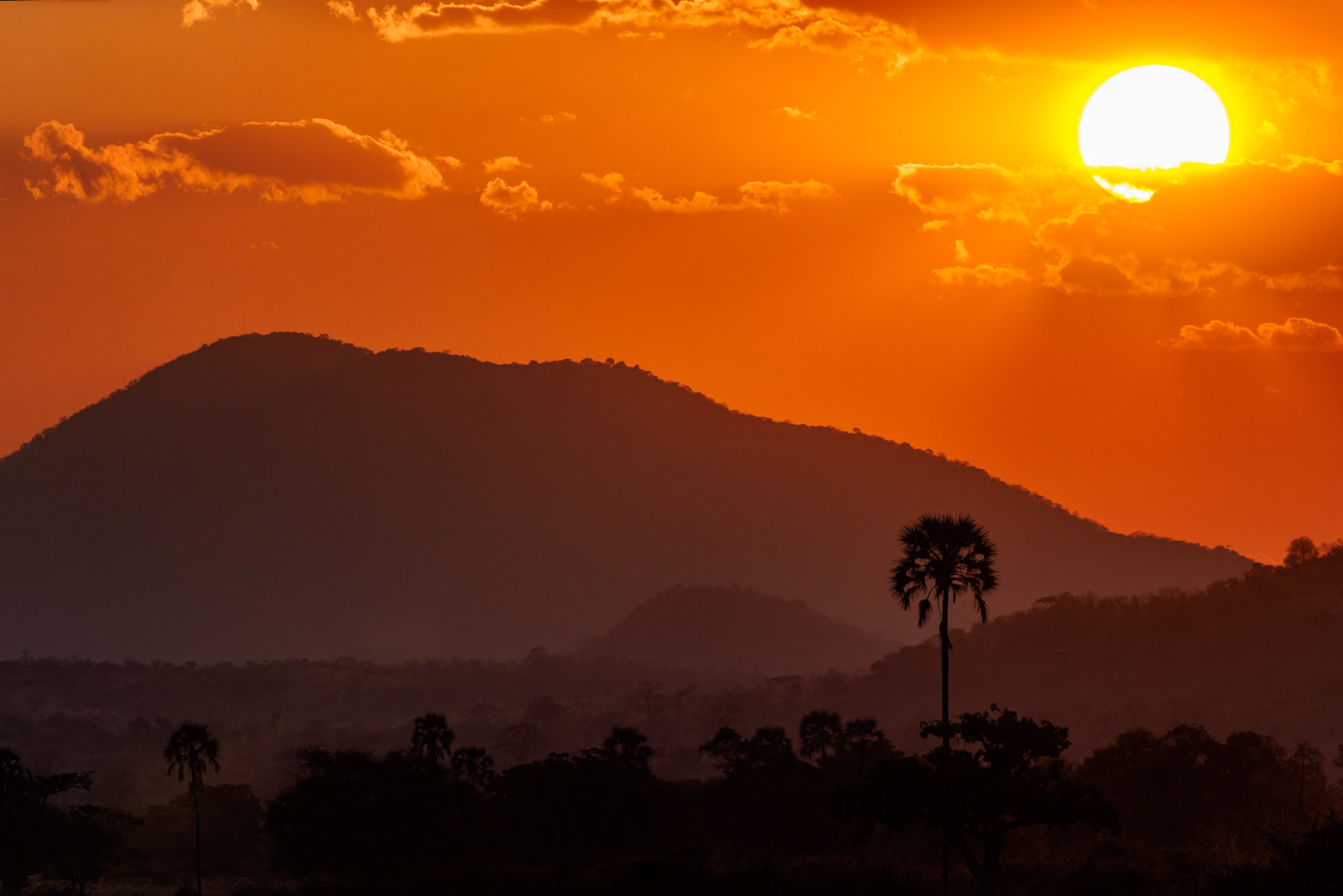 Ruaha sunset