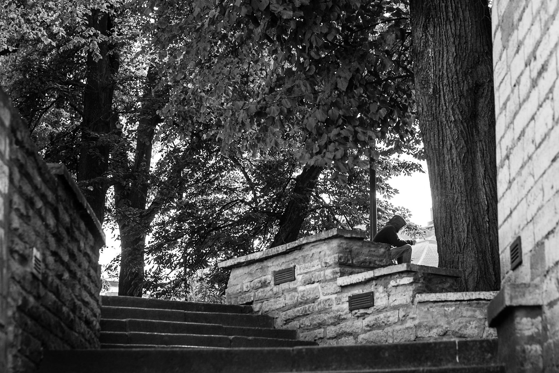 Young man sitting in a park in Tallinn, Estonia