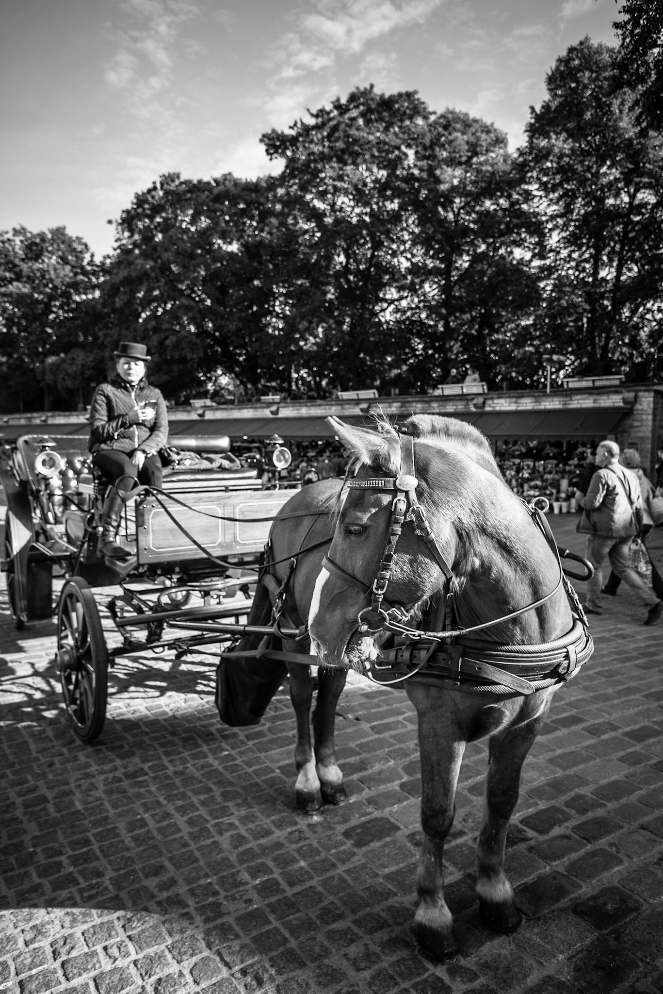 Street photography in Tallinn, Estonia