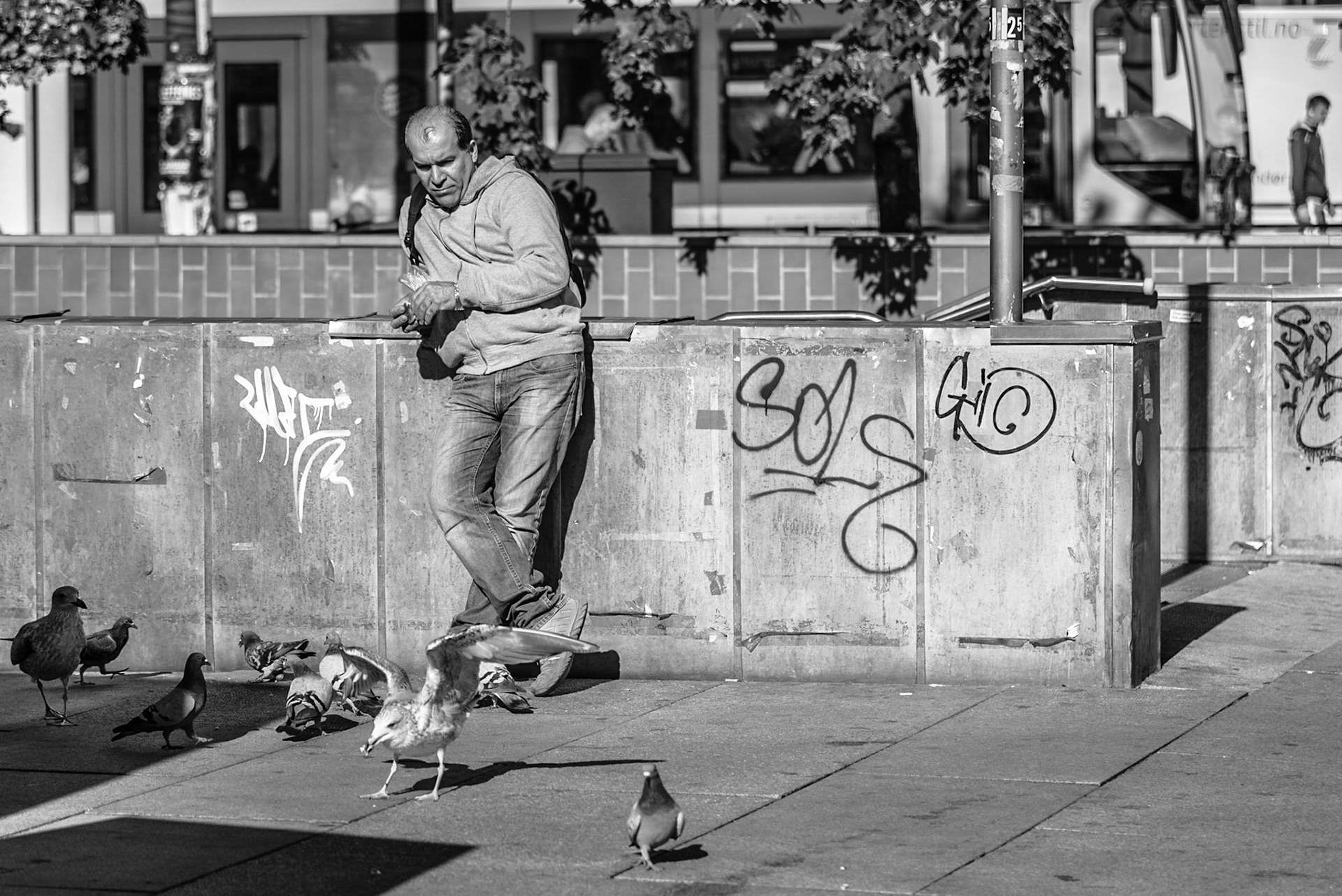 A man feeding seagulls in Oslo, Norway