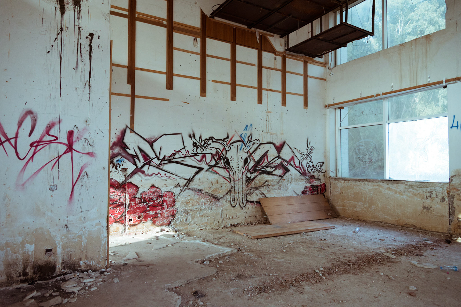 Street art in an abandoned hotel in Nicosia, Cyprus