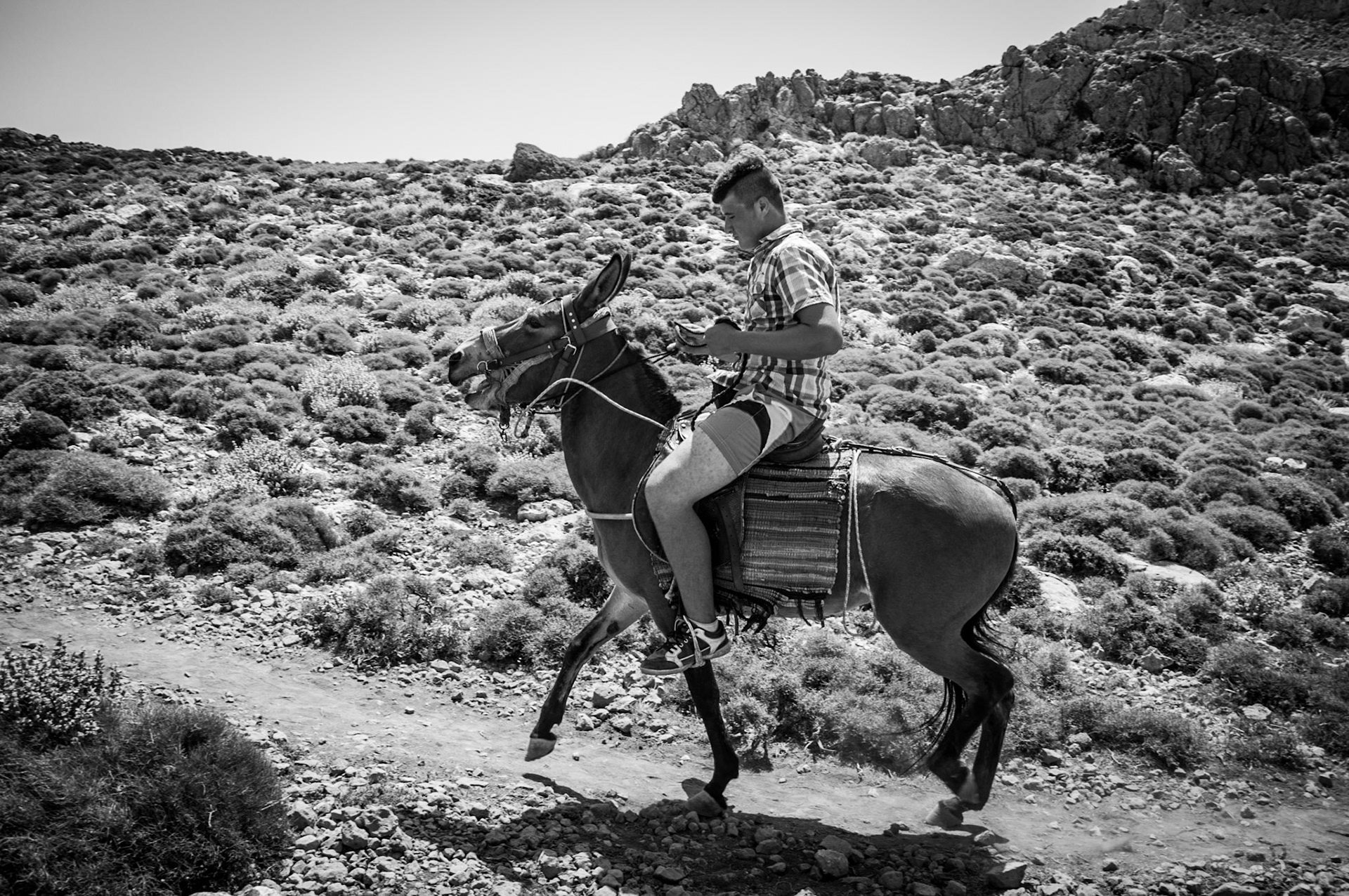 Boy riding a donkey at the trail towards Balo's beach in Crete, Greece