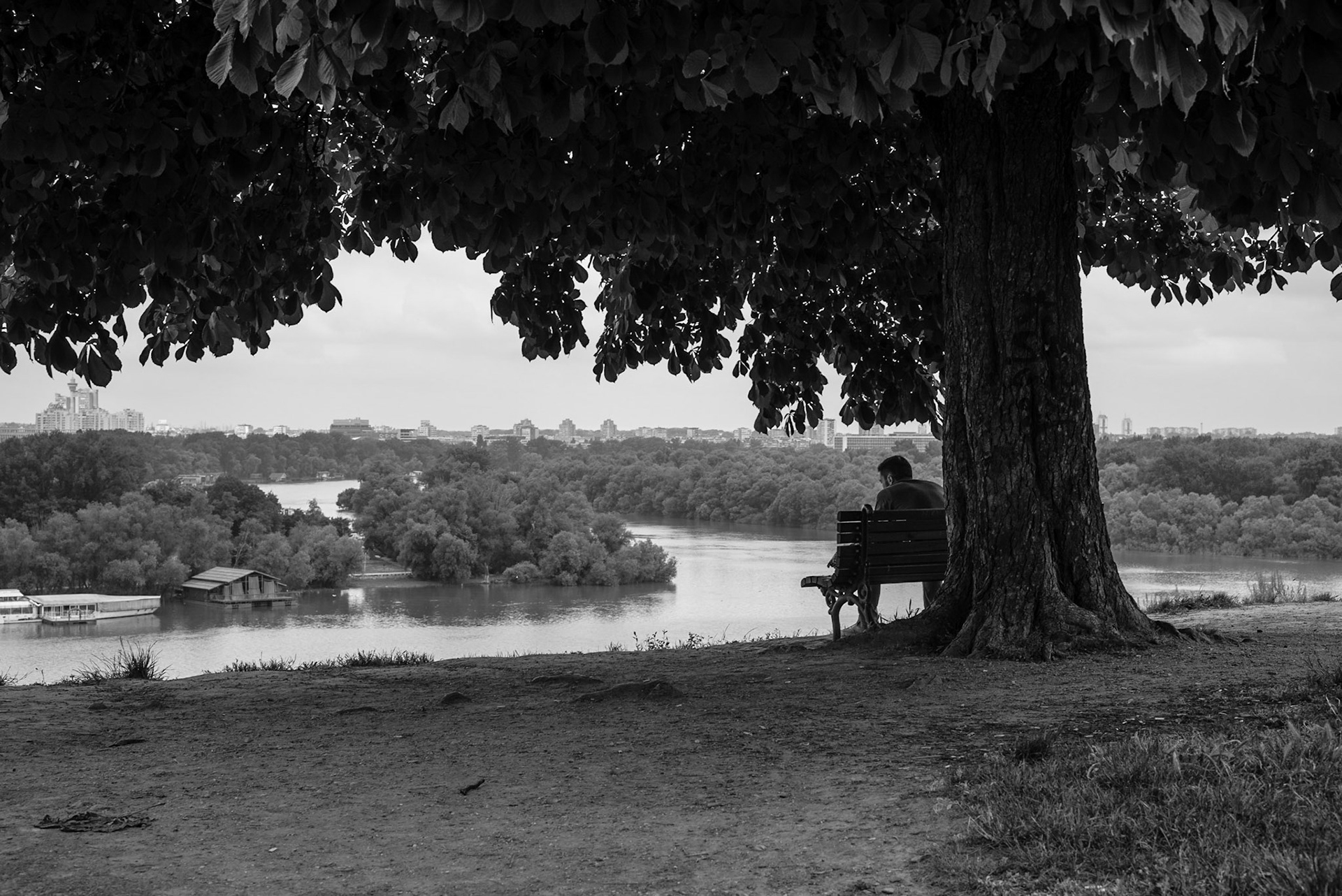 Man sitting on a bench gazing the river in Belgrade, Serbia