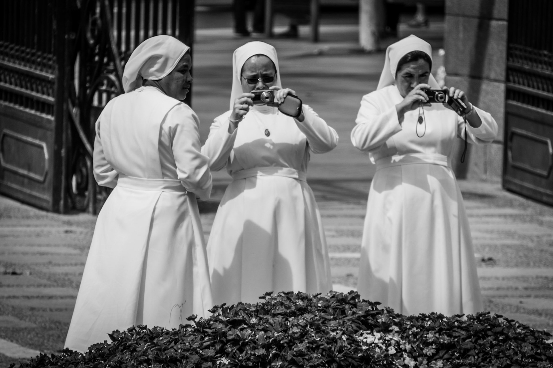 Nuns taking photos of the flowers in Madrid, Spain