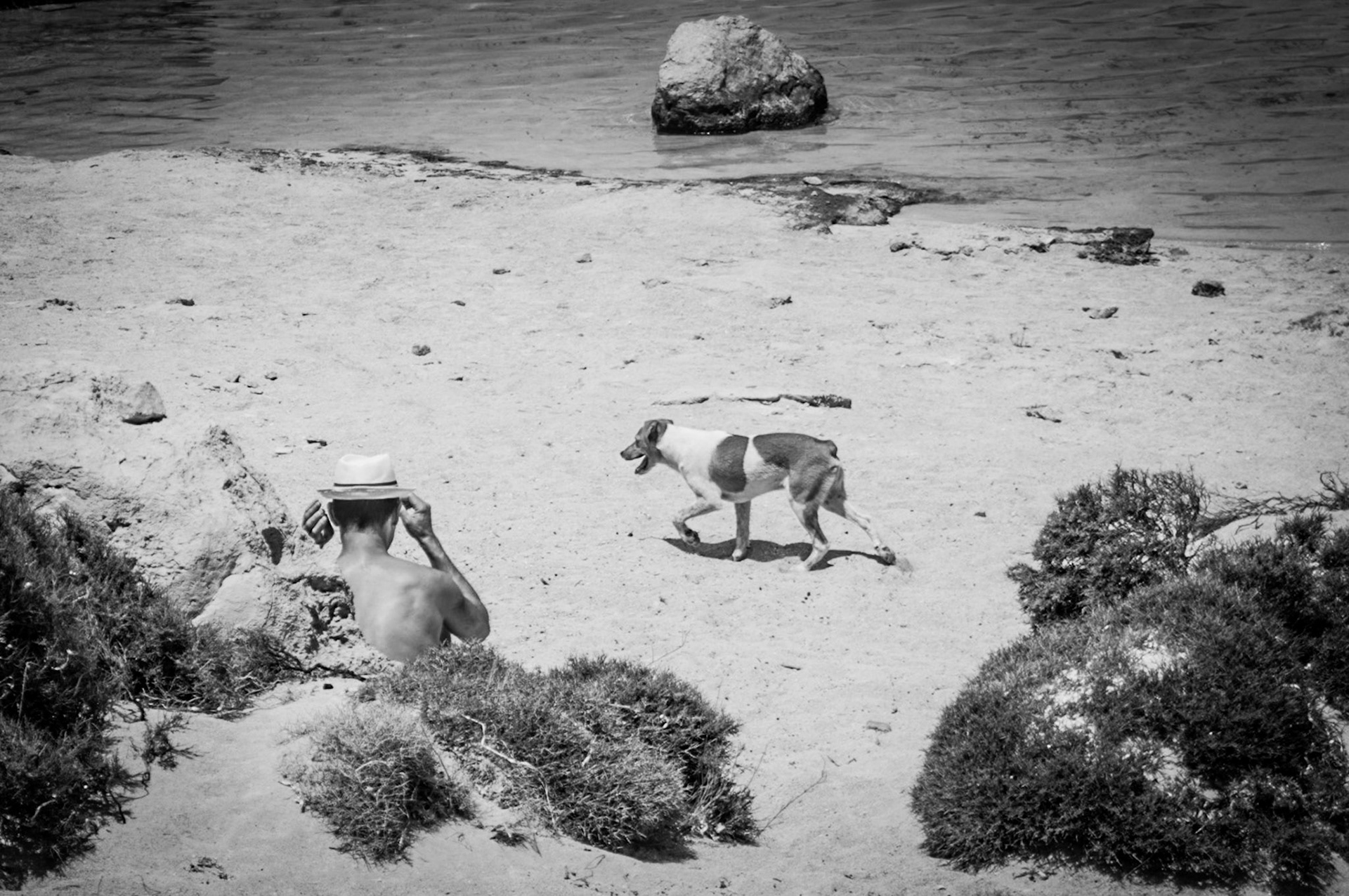A man sunbathing while a dog is passing at Balos Beach, Crete, Greece